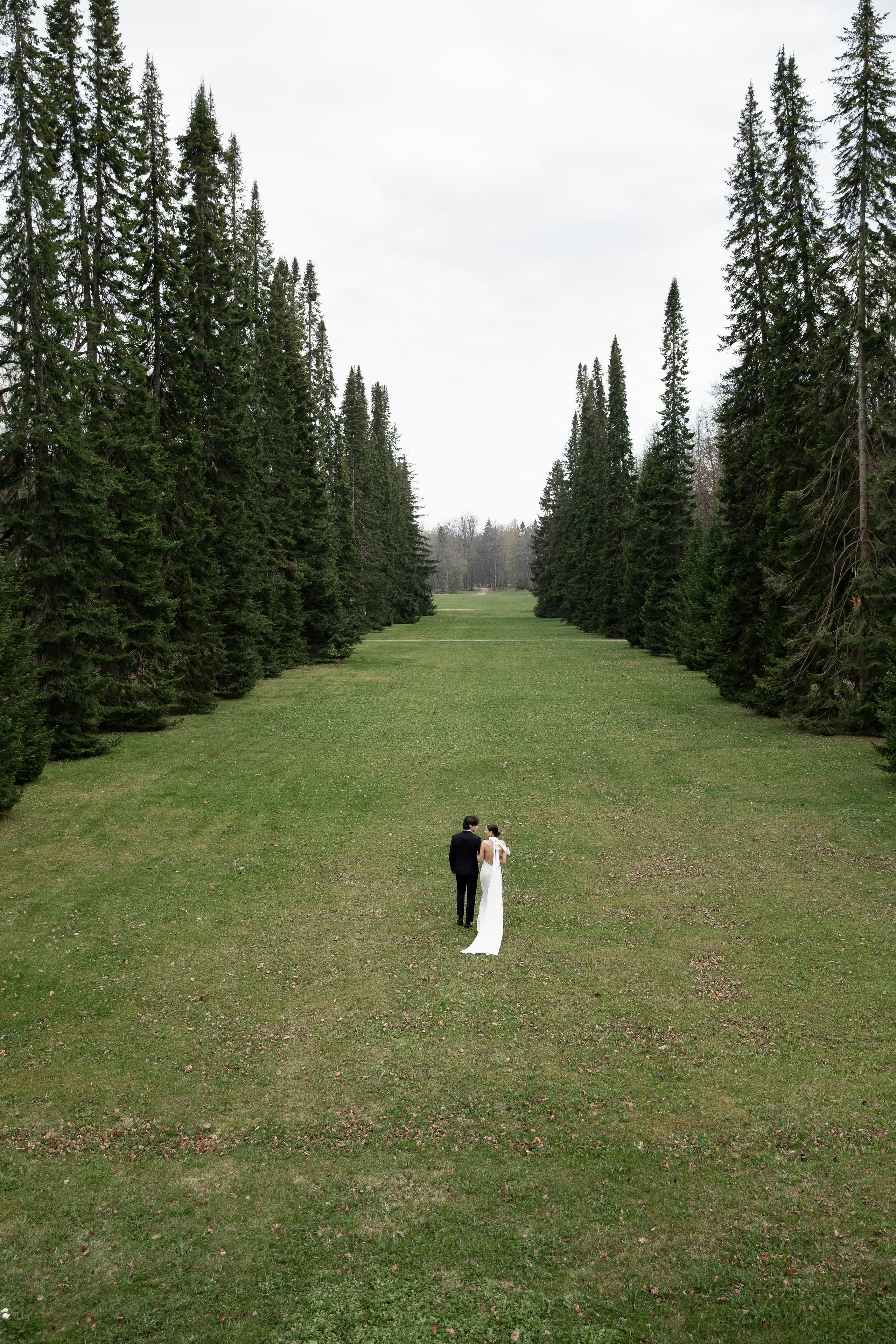 Софья и Юрий. Свадебный и портретный фотограф