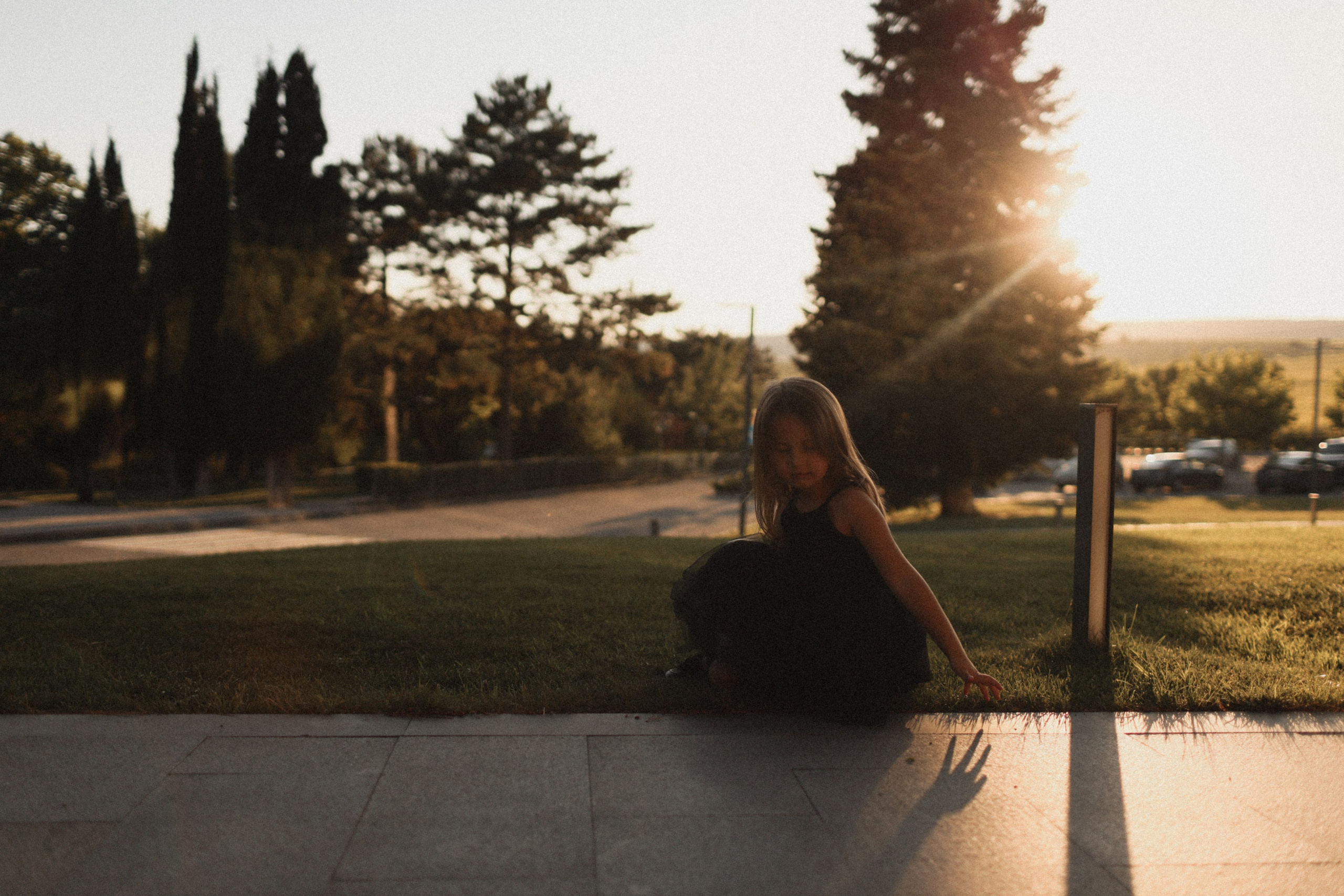 Mushrooms. Фотограф Воронцова Виталия Крым Севастополь