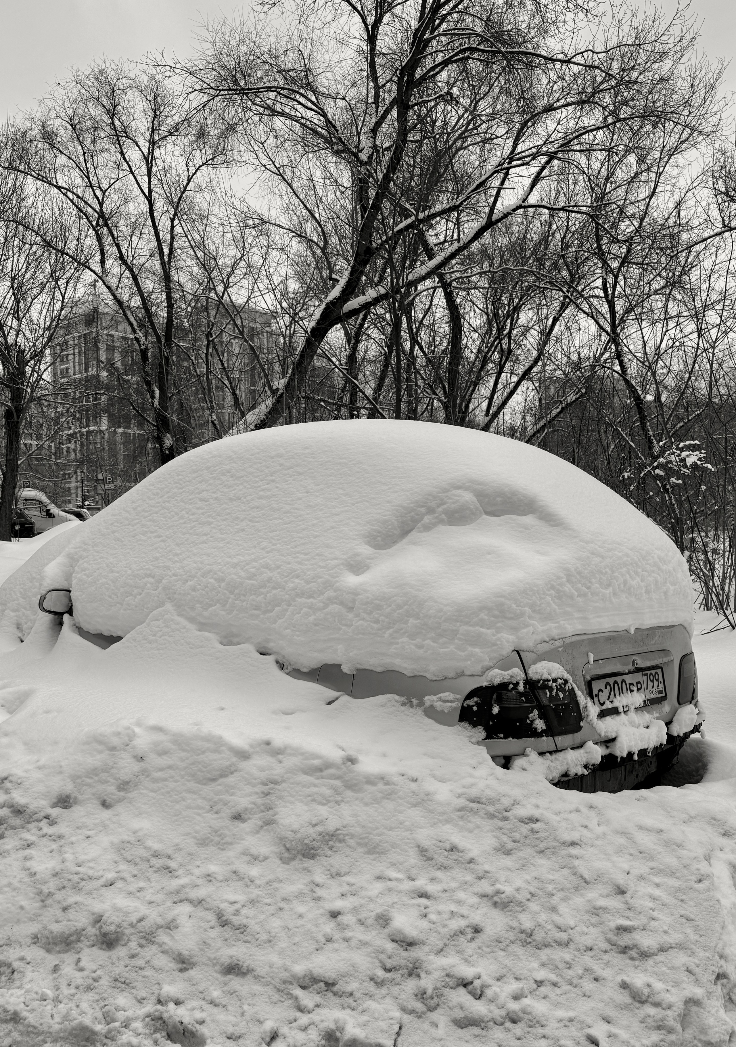 «Откопайте меня кто-нибудь…»