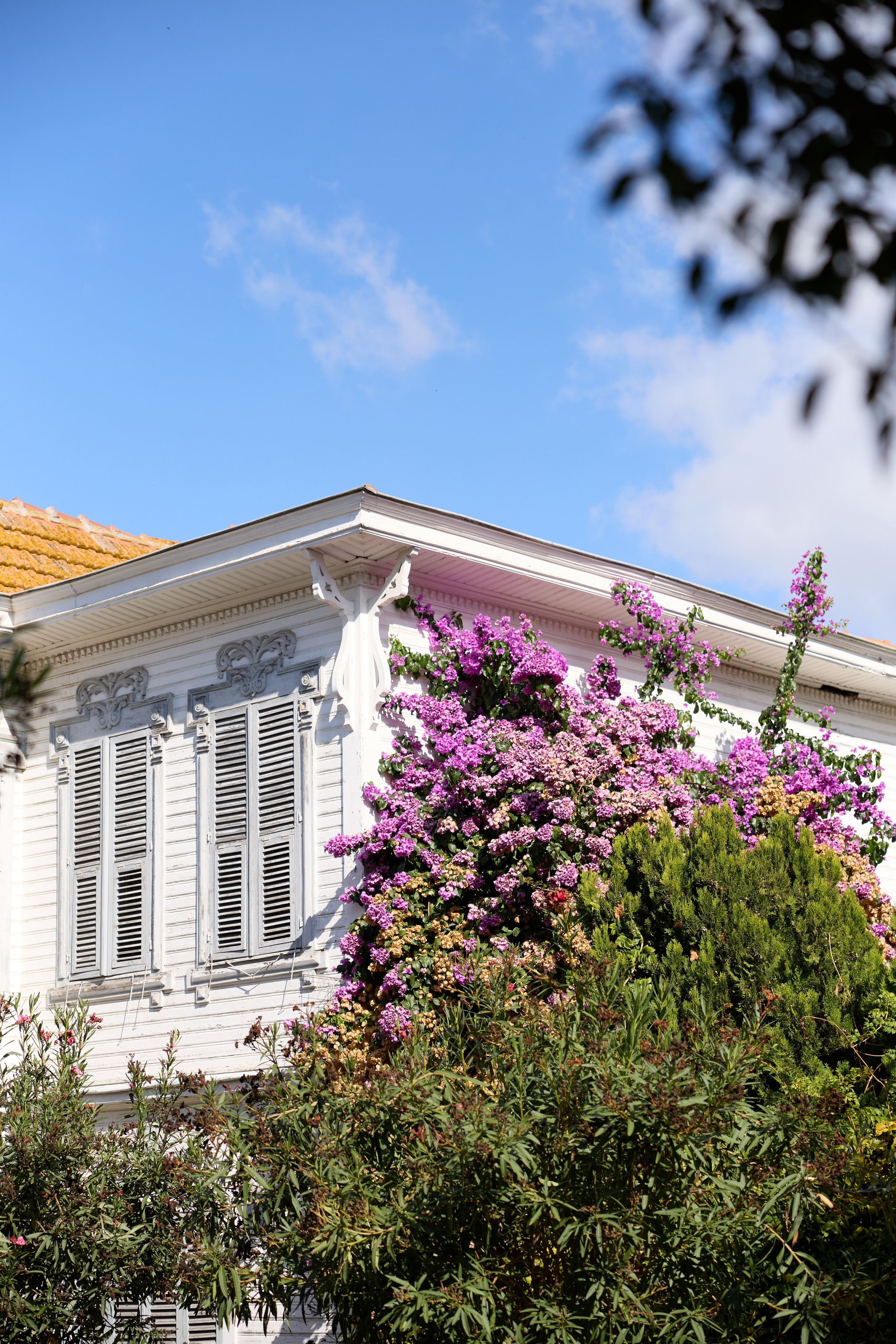 Стамбул 24. Фотограф Москва, Дима Пеллер