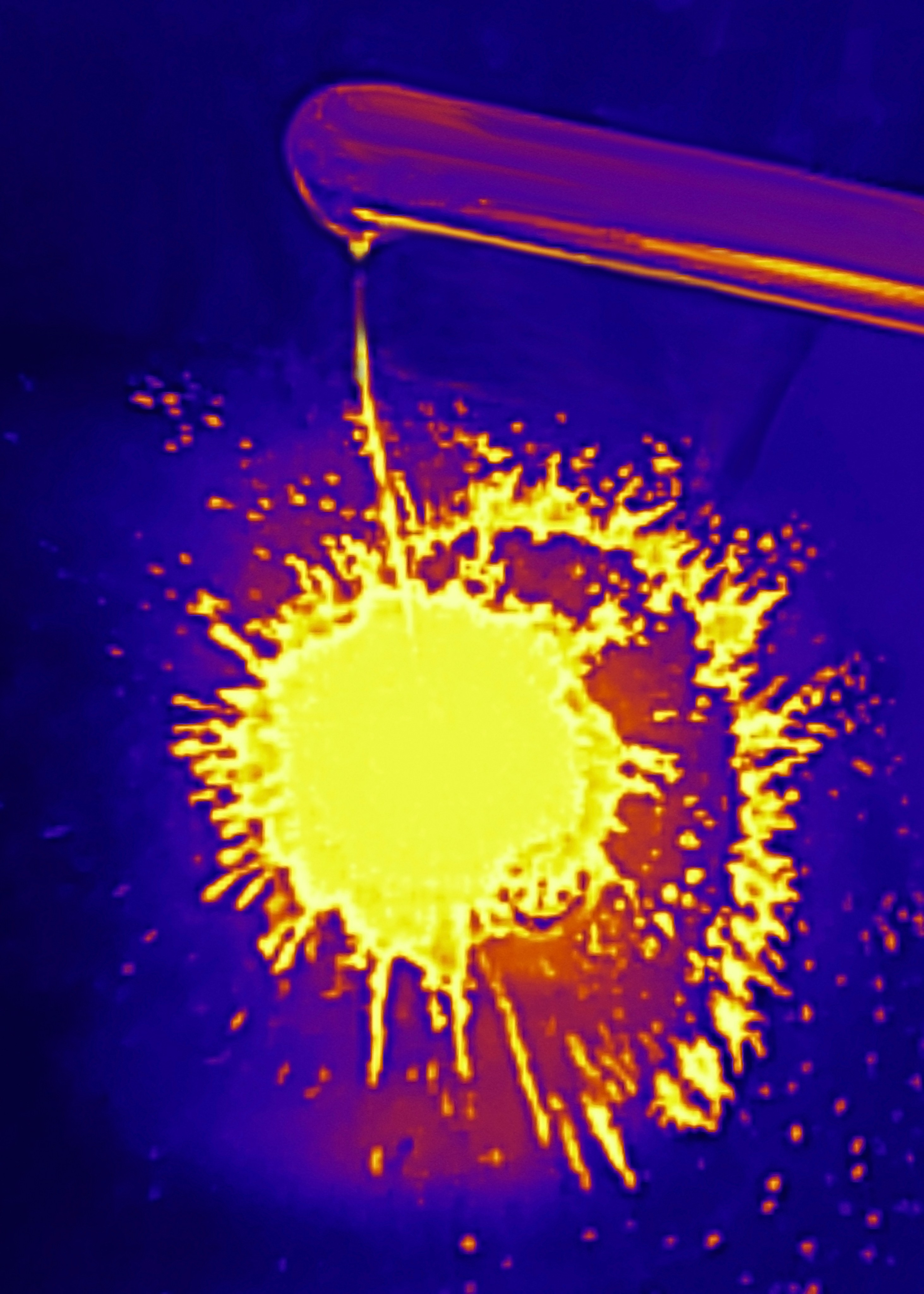 Если б я была удавом / If I were a boa constrictor. Visual artist Olga Burmistrova