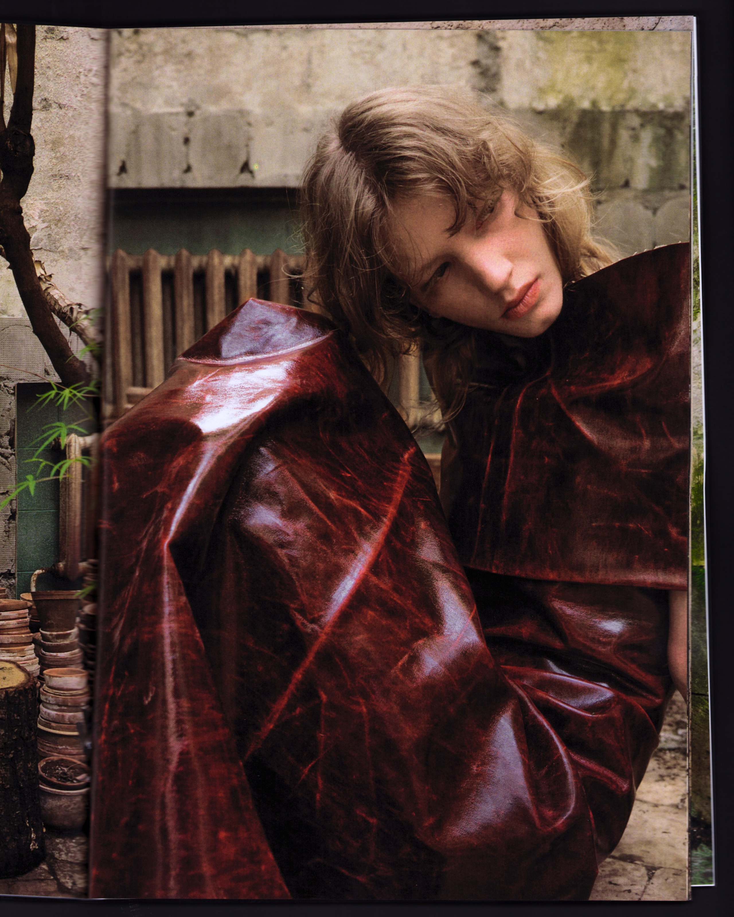 Greenhouse. Iliaarkhangelskii