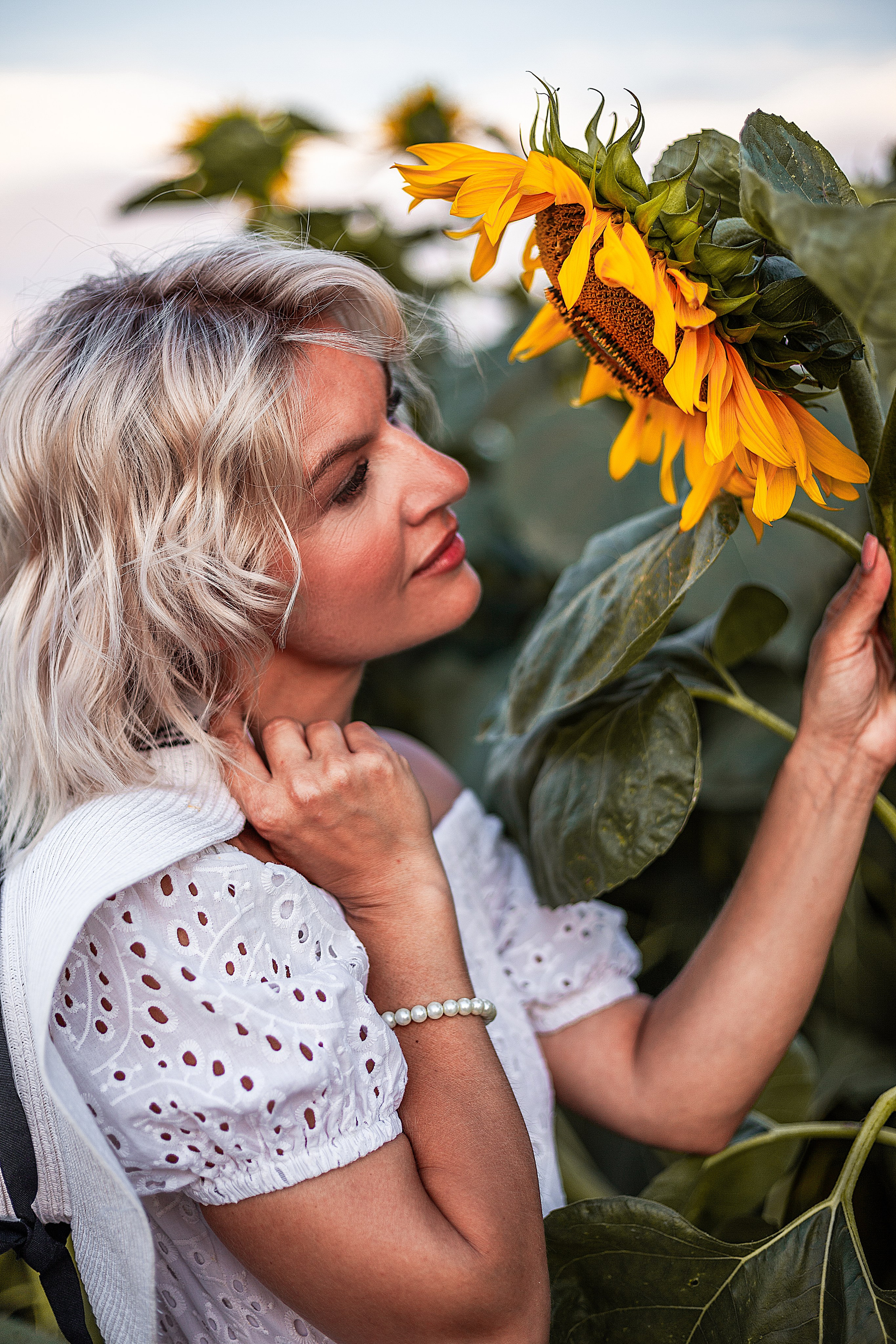 Подсолнухи!