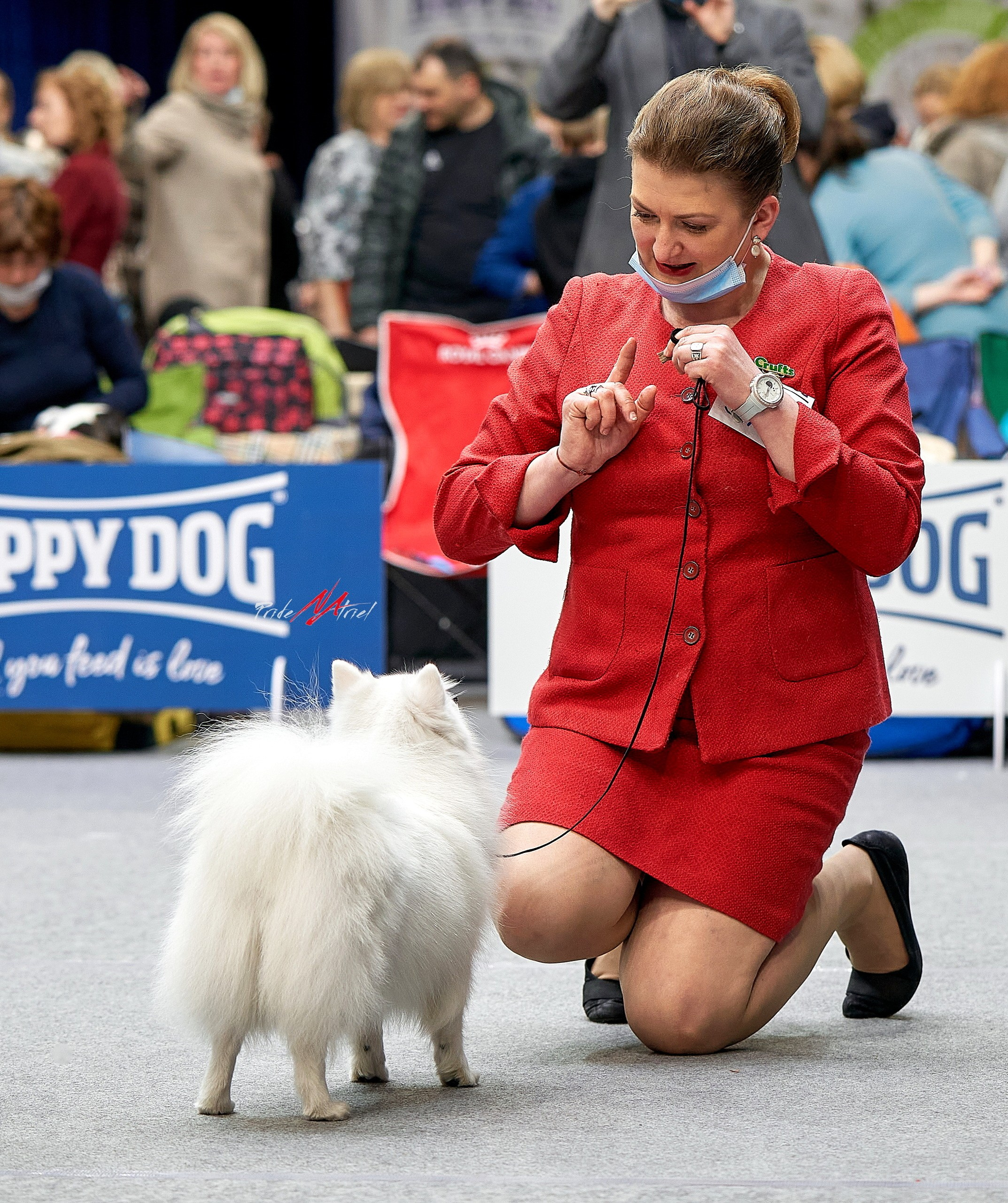 Работа в рингах — галерея NATRIEL