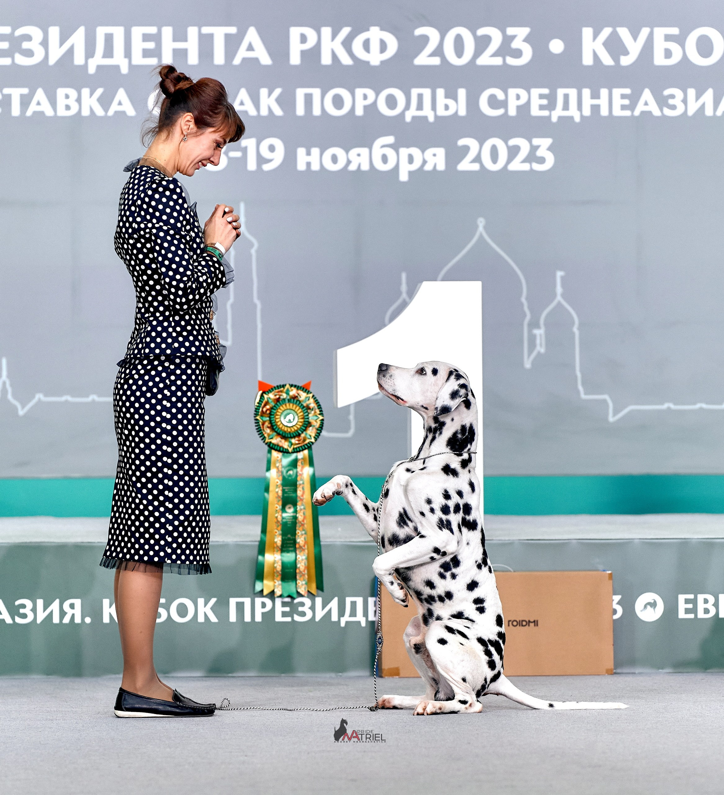 Призовые места — галерея NATRIEL