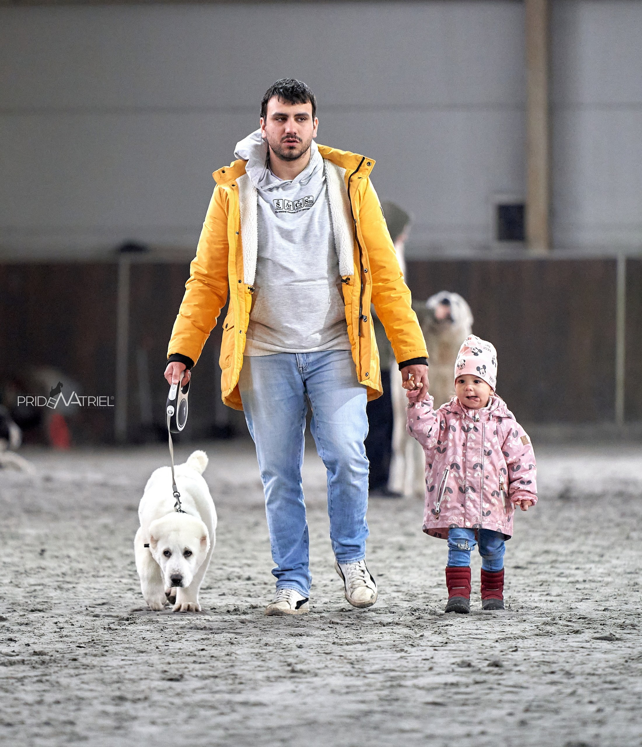 Картинки с выставки — галерея NATRIEL