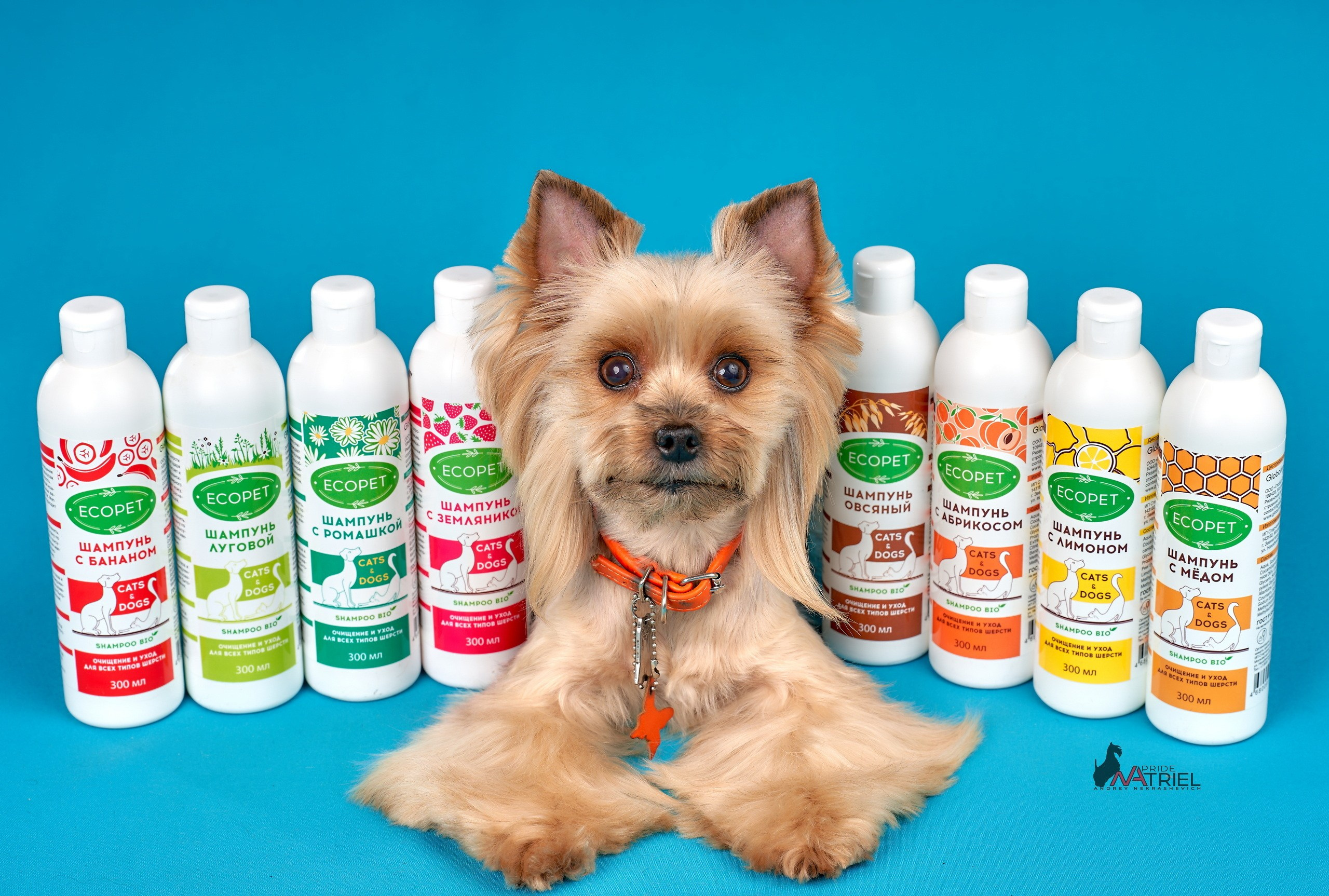 Реклама с животными — галерея NATRIEL