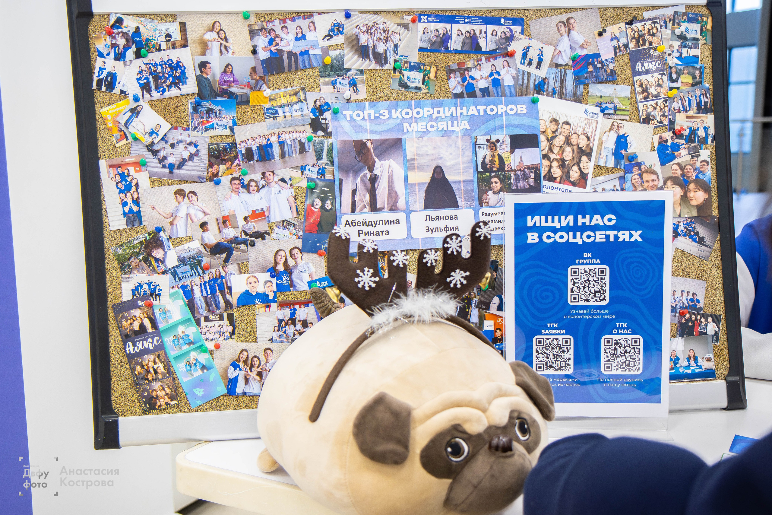 Ярмарка вакансий «Эд.хант». Репортажный фотограф во Владивостоке Анастасия Кострова