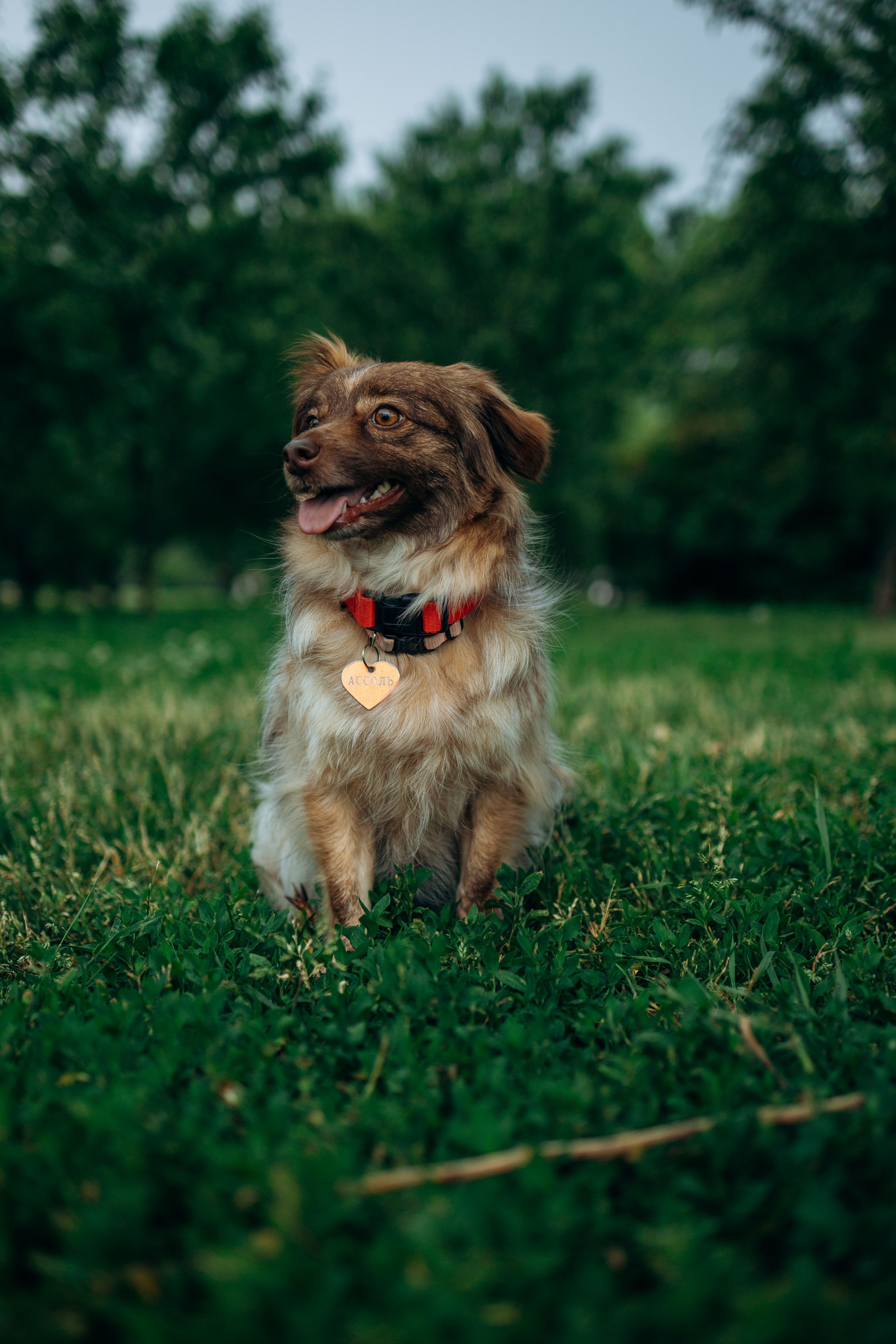 Дарья и Ассоль