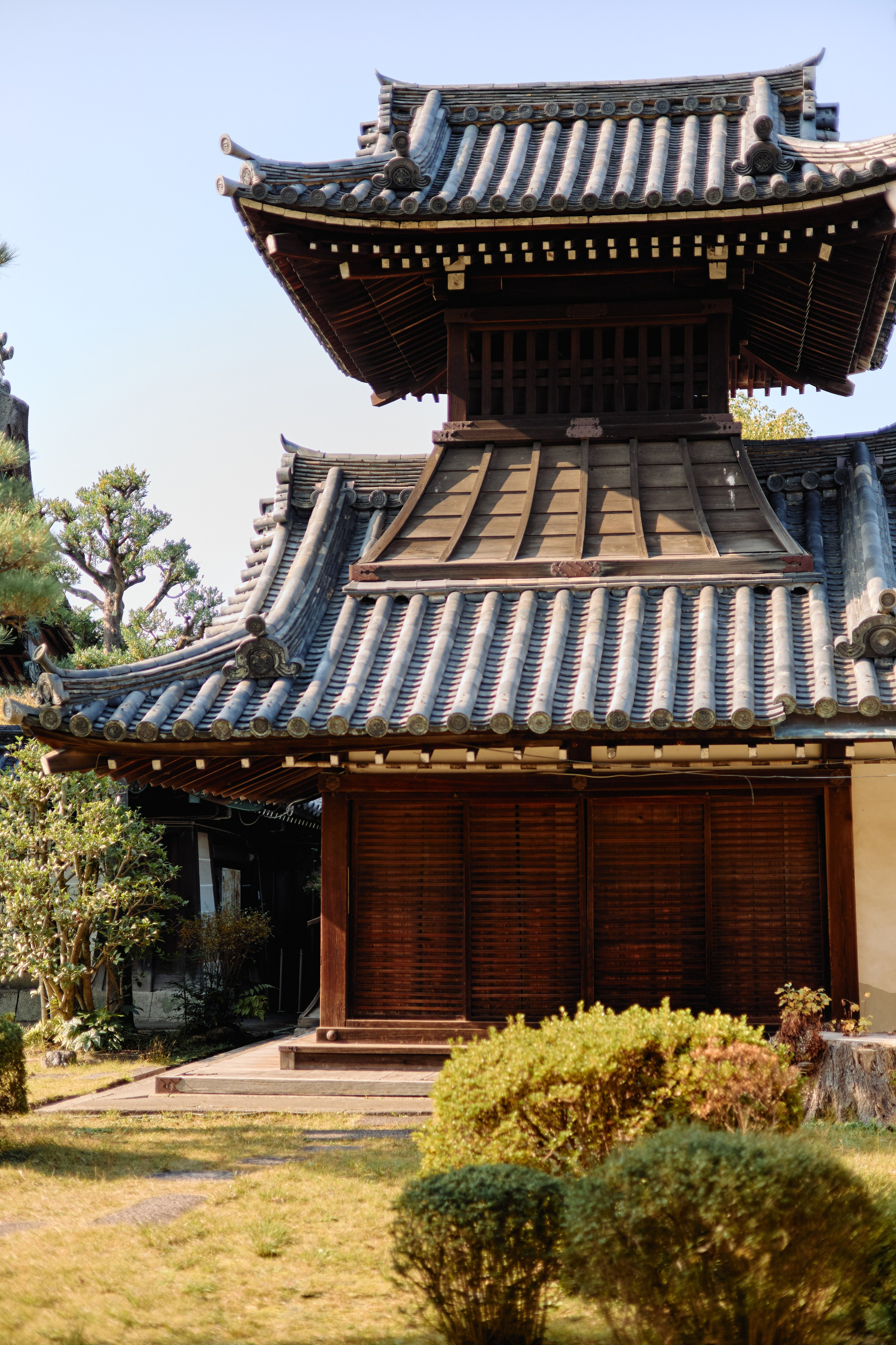 Япония. Профессиональный Фотограф во Владимире, в Москве и в Суздале — Полина Романычева