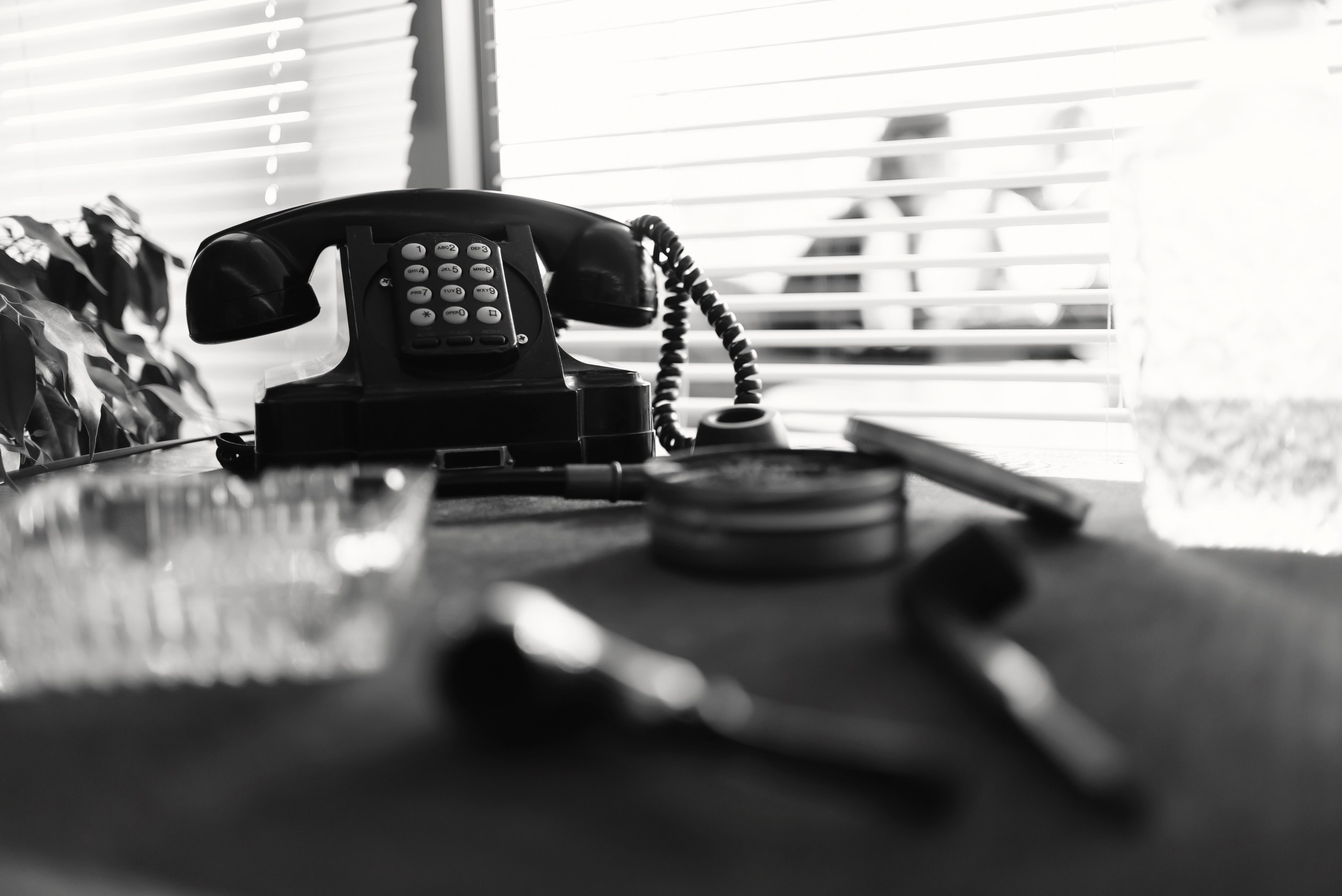 Фото: Артем и Анна Приходько 