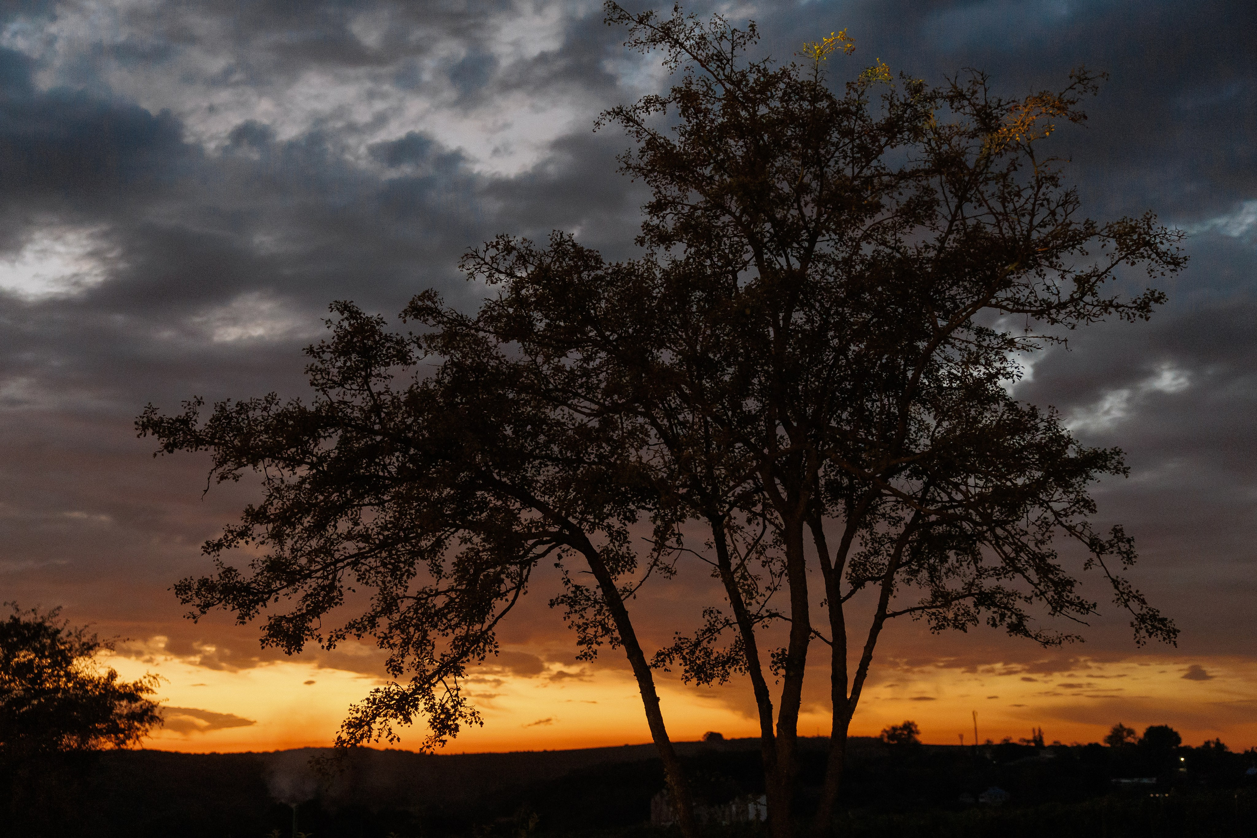 Wedding N&V. Свадебный фотограф Краснодар Юлия Ткаченко