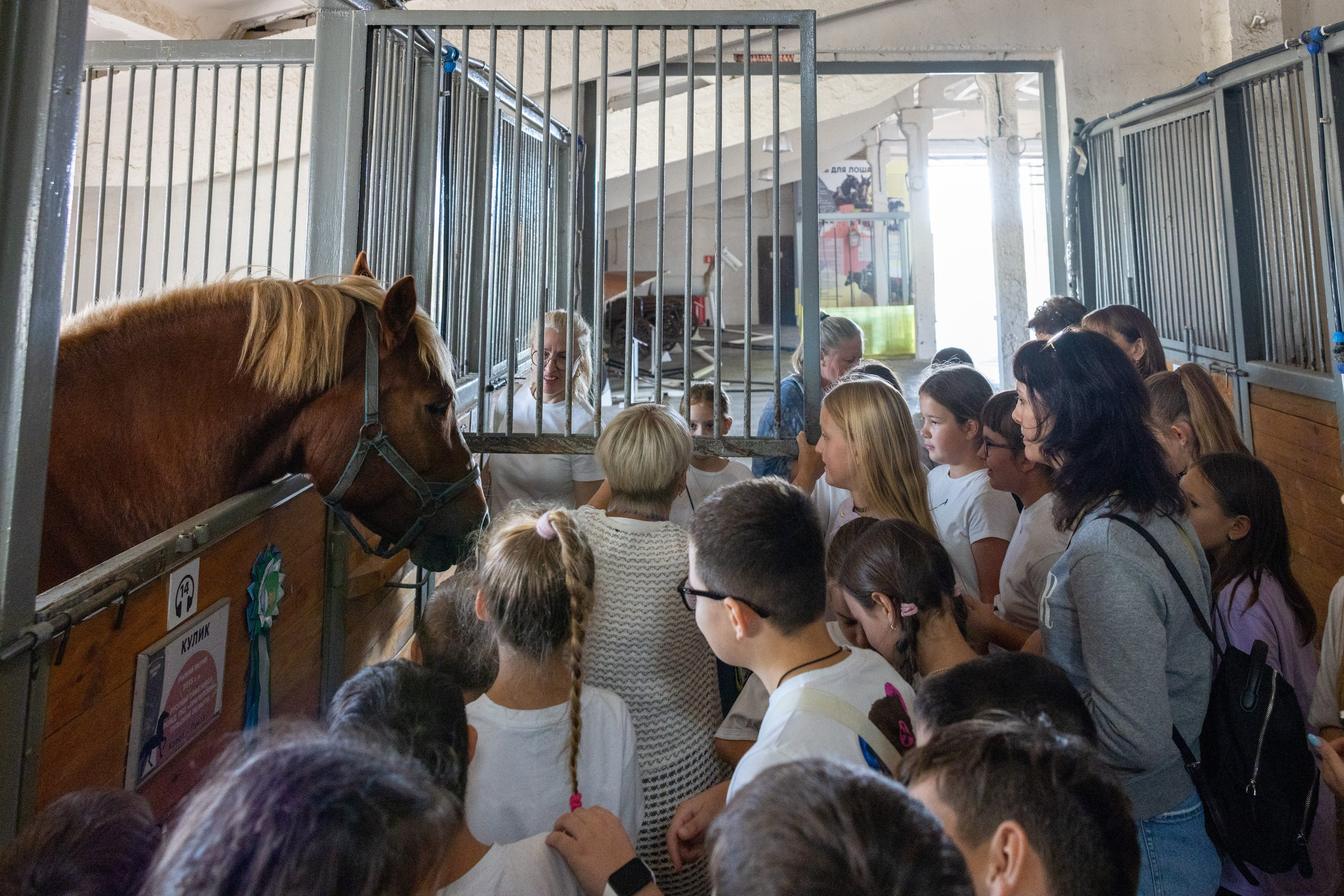 Поездка на поле Кулеково. Фотограф в Туле Крупский АнДРей. Фотостудия «КАДР71» в Туле