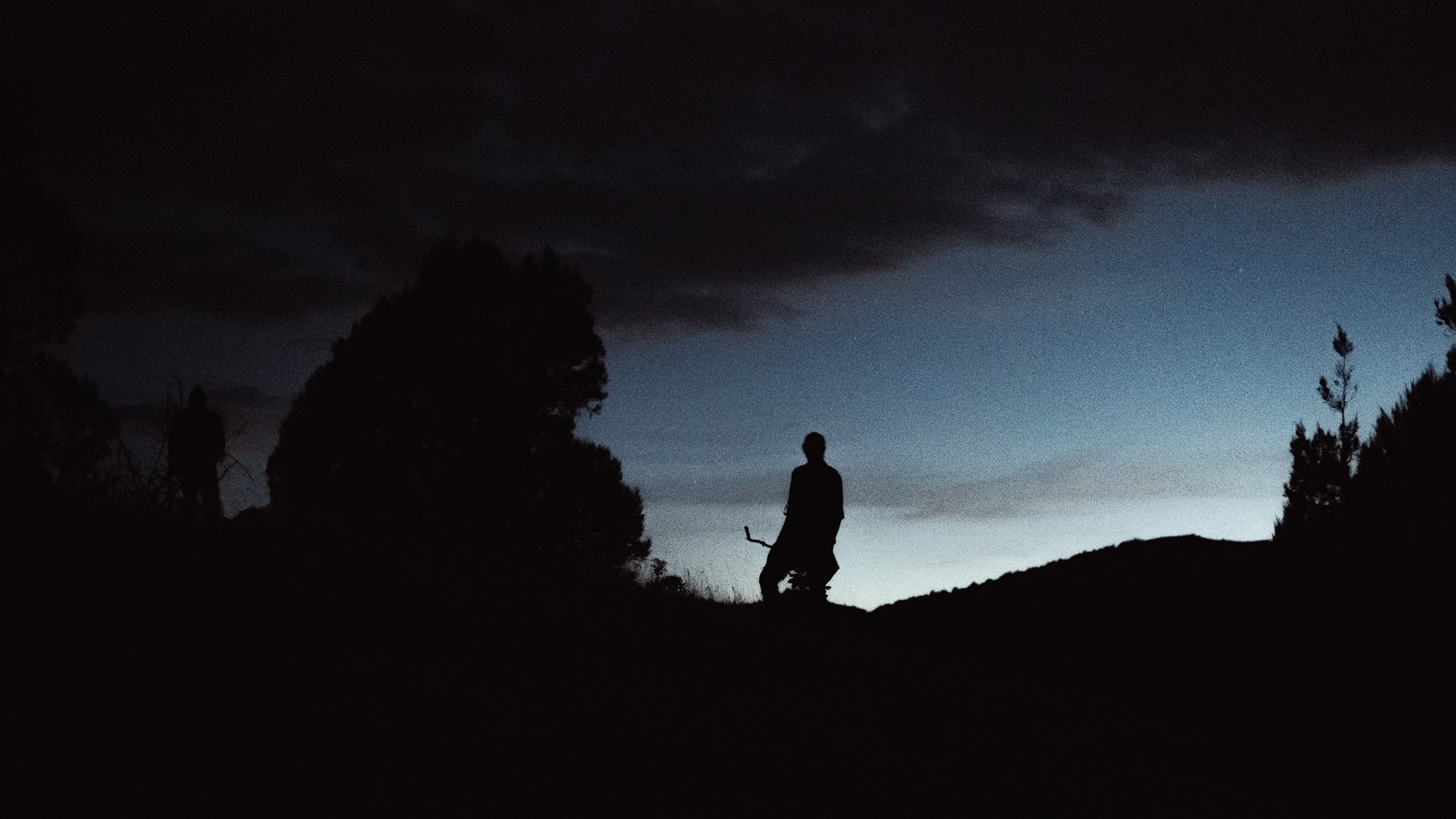 Сезон 2019. Alimov | photo