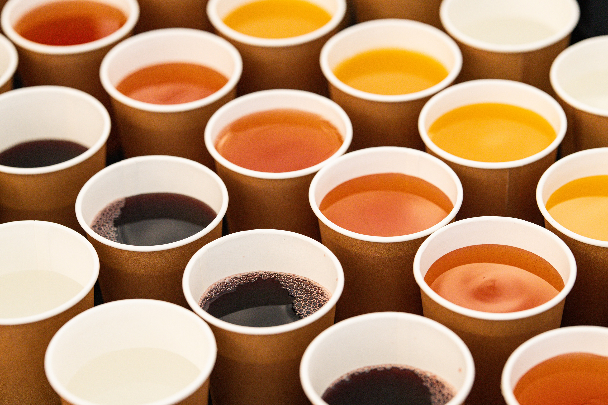 Тимбилдинг с Crystal Catering. Фотограф в Алматы Артемий Матюнин