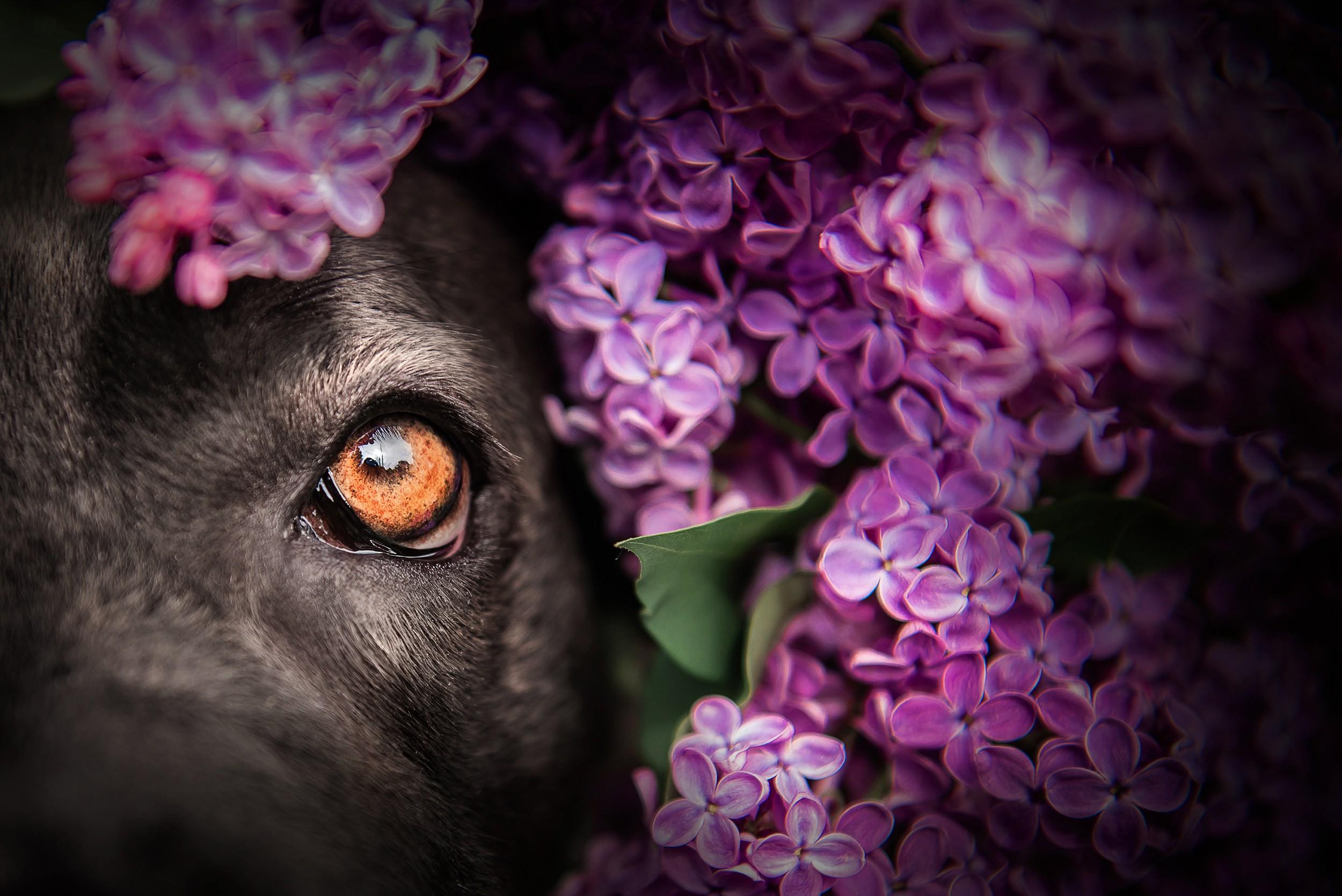 Кристина и Тея. Семейный Фотограф в Москве Ирина Хохлова