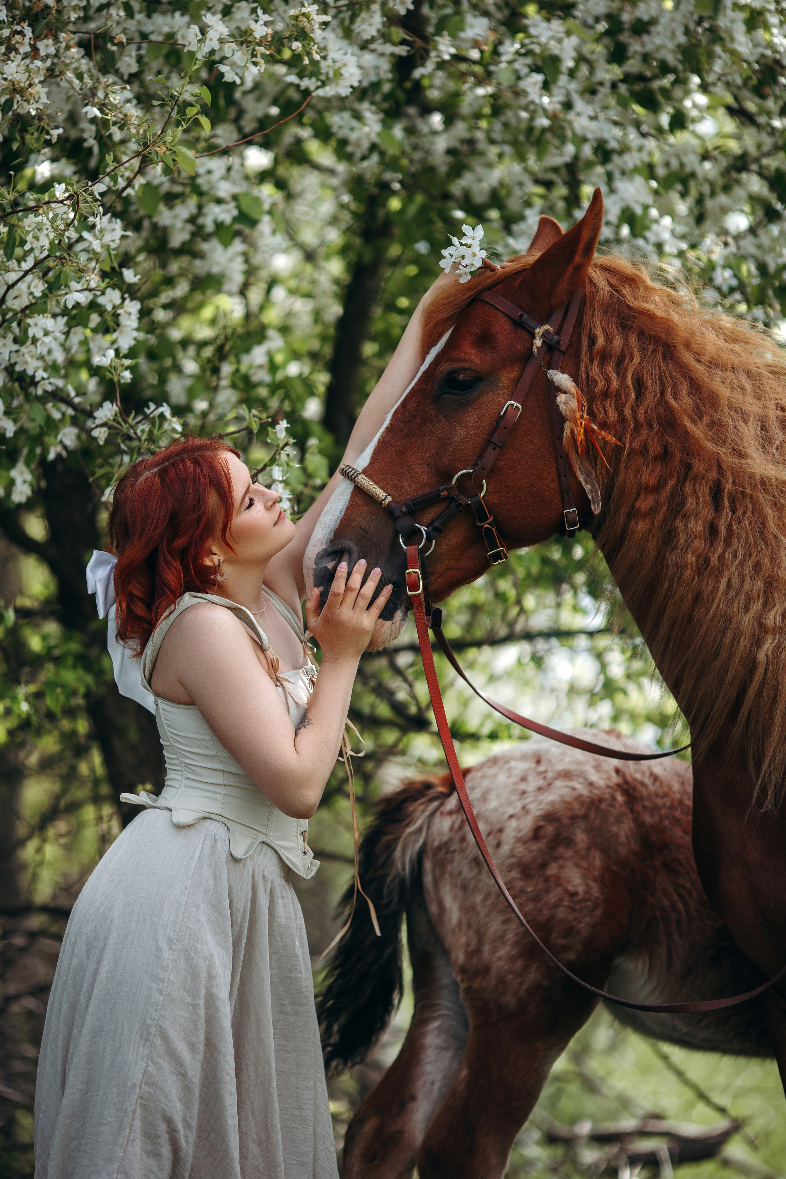 Анна Молчанова конный фотограф в Тюмени | фотосессии с лошадьми Тюмень