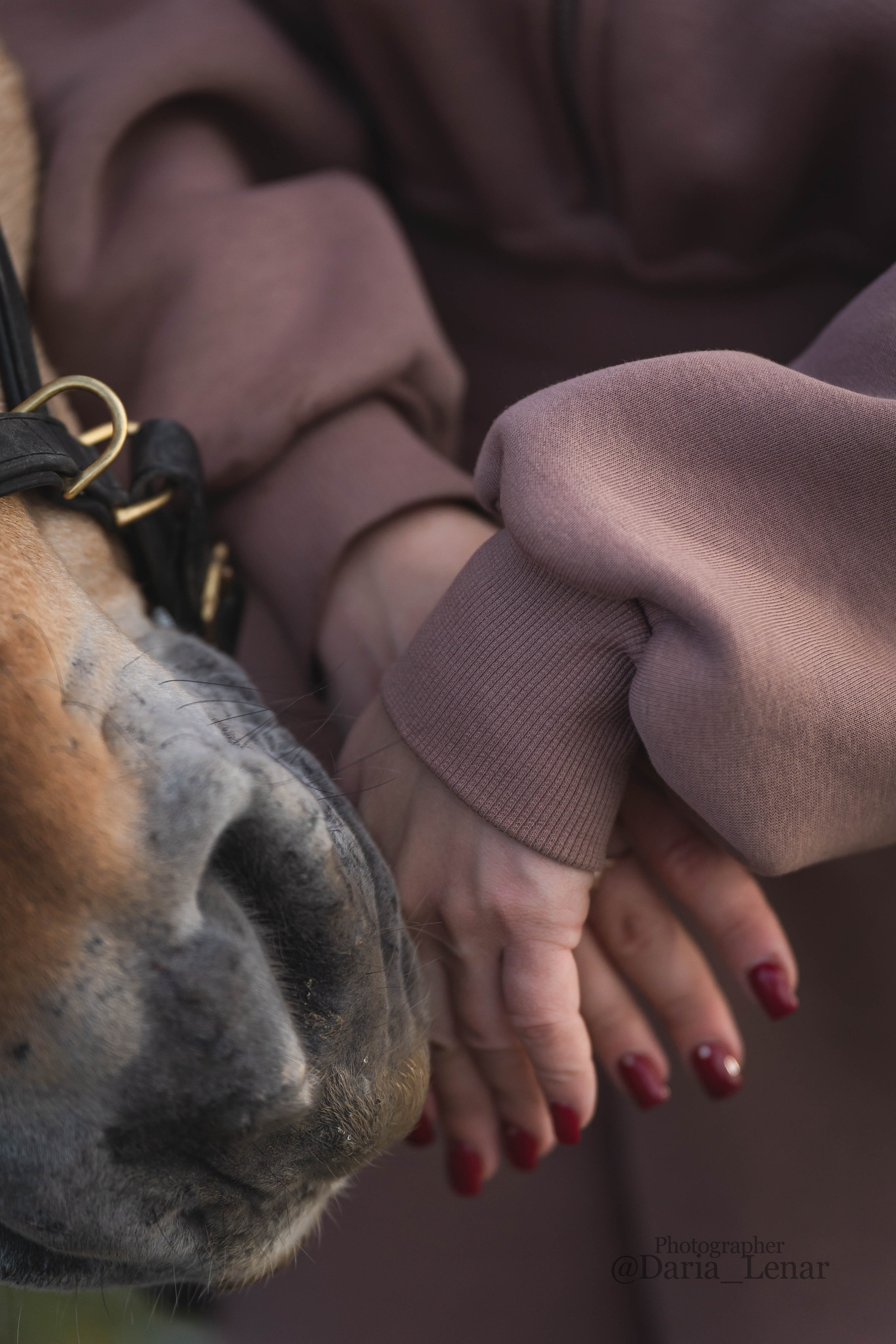 Нина и Диадем. Фотограф в Москве Ленарская Дарья