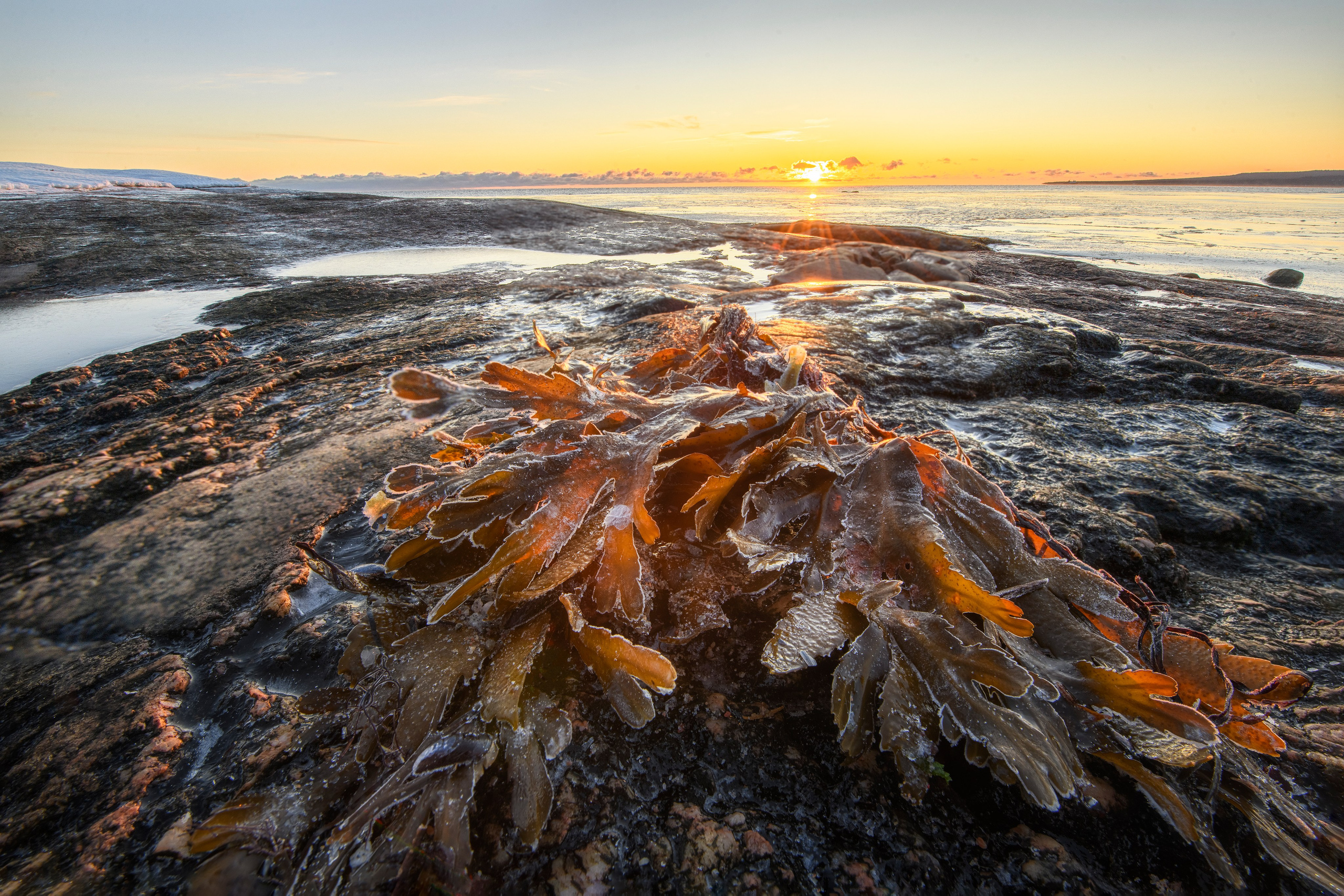 Кольский полуостров. Портретный фотограф в Челябинске Катерина Руди