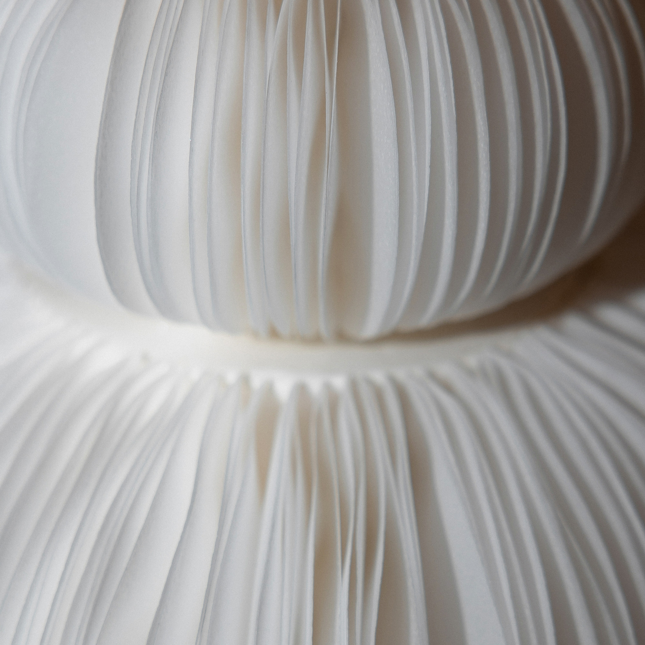 Wedding Awards Ug 2023. Свадебный фотограф в Ростове-на-Дону