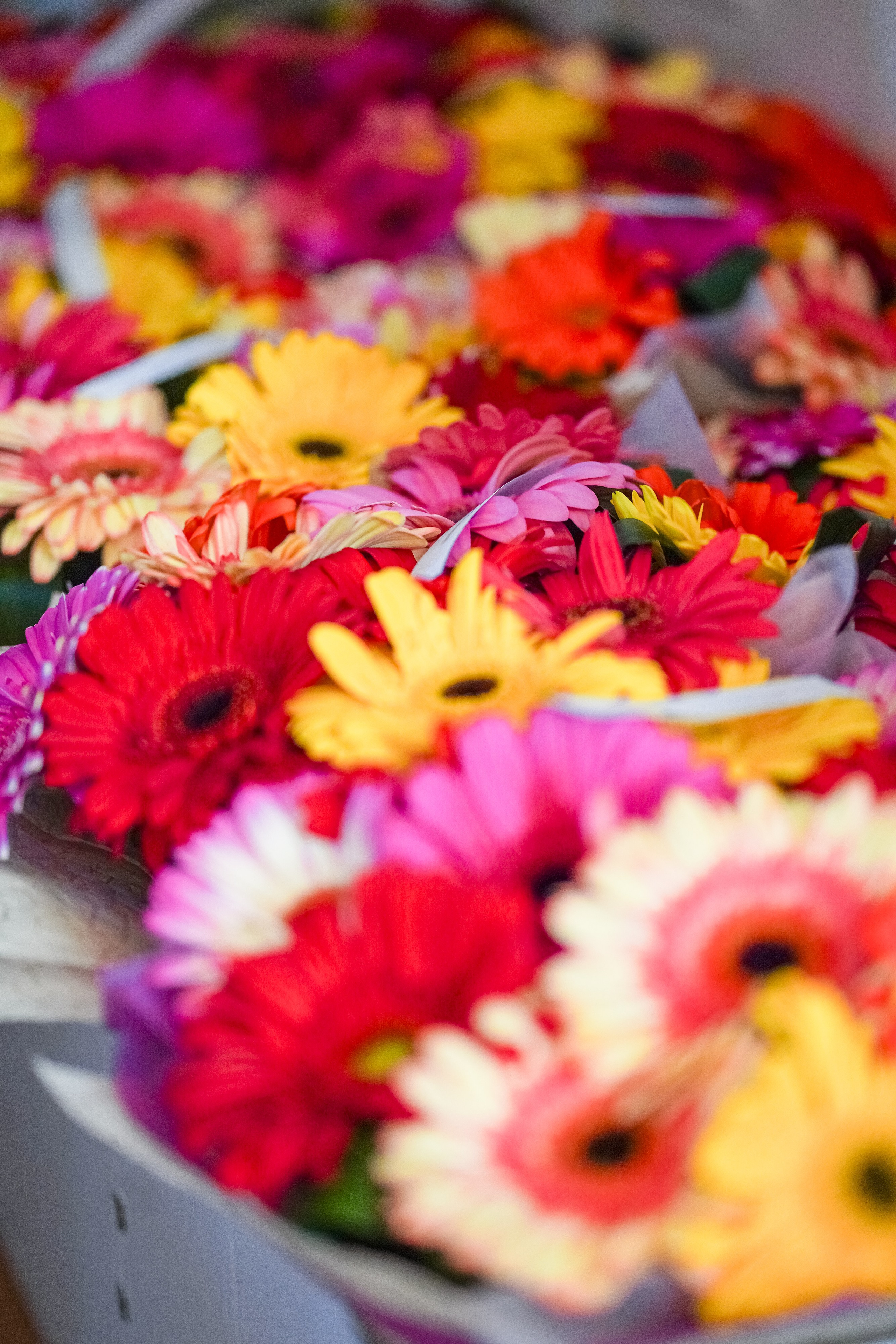 Выпускной 11 класс. Школьные альбомы и альбомы для детского сада. Юлия Осипова. Москва