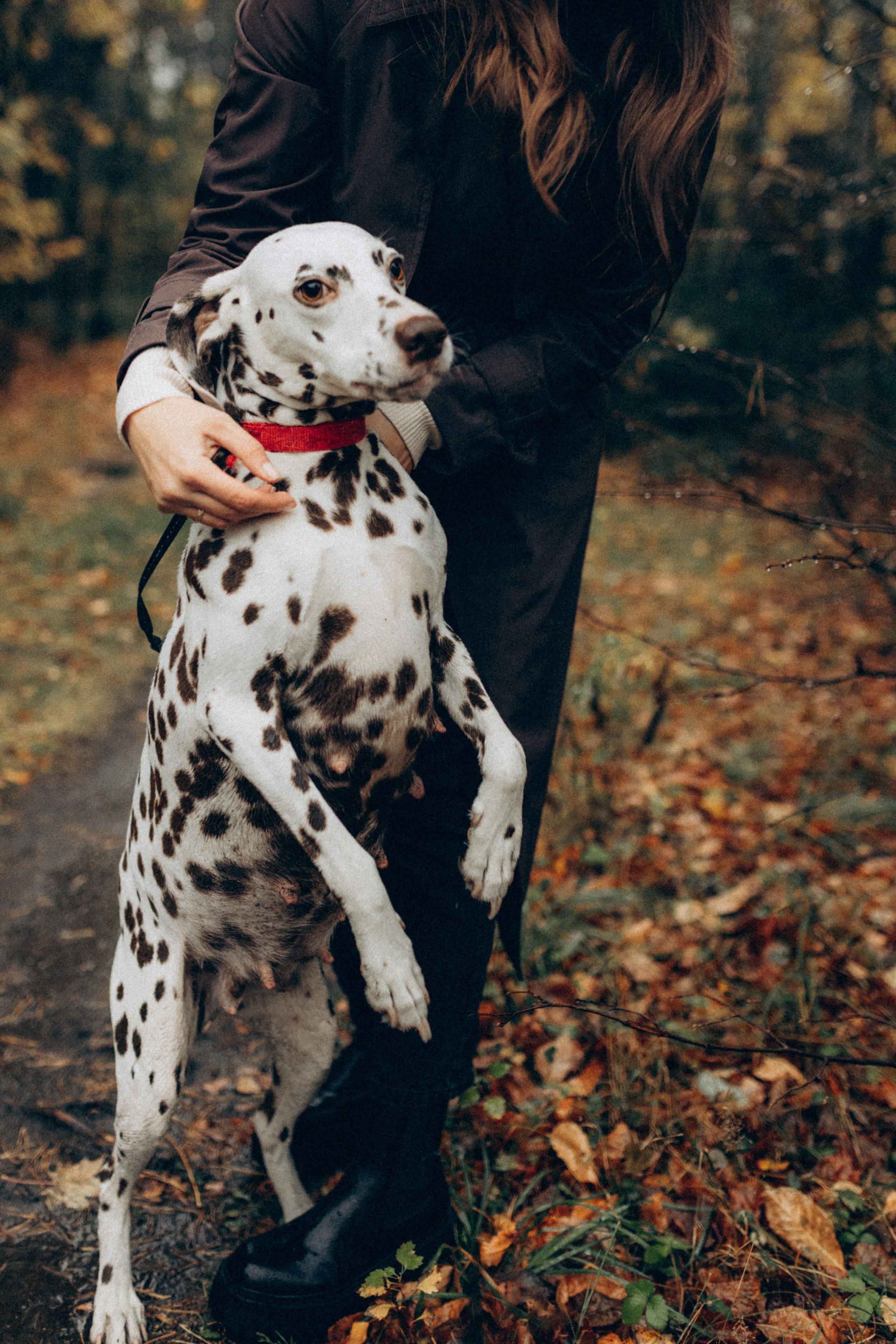 Анфиса & Нисма. Фотограф НОГИНСК, Москва, Анастасия Белая