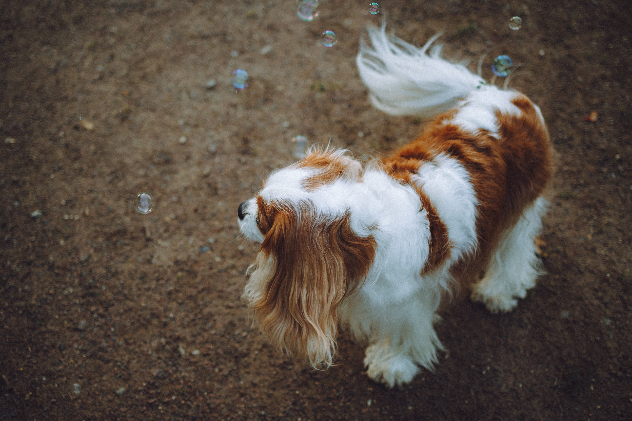 Наташа и Вики