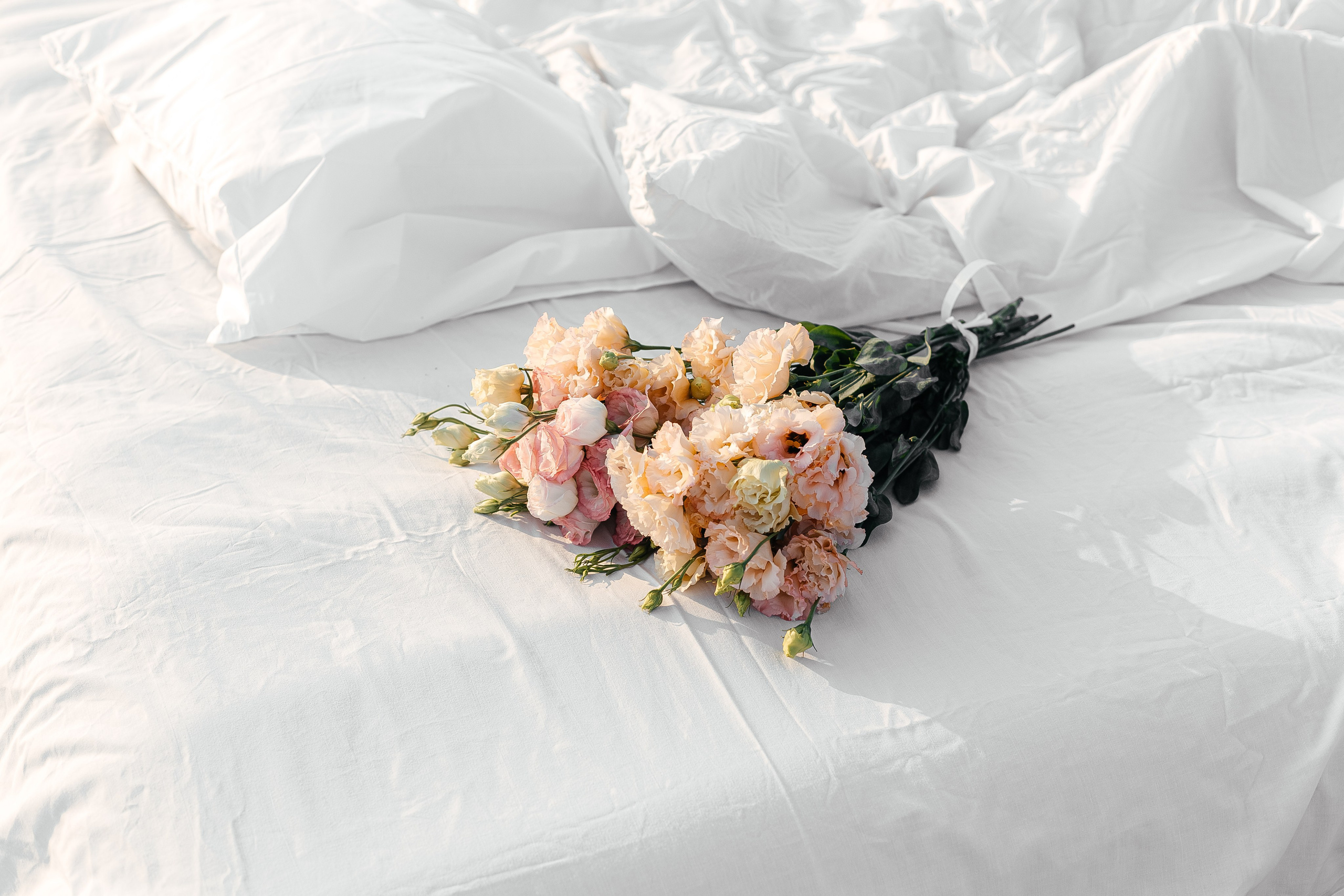 Настя. Главная