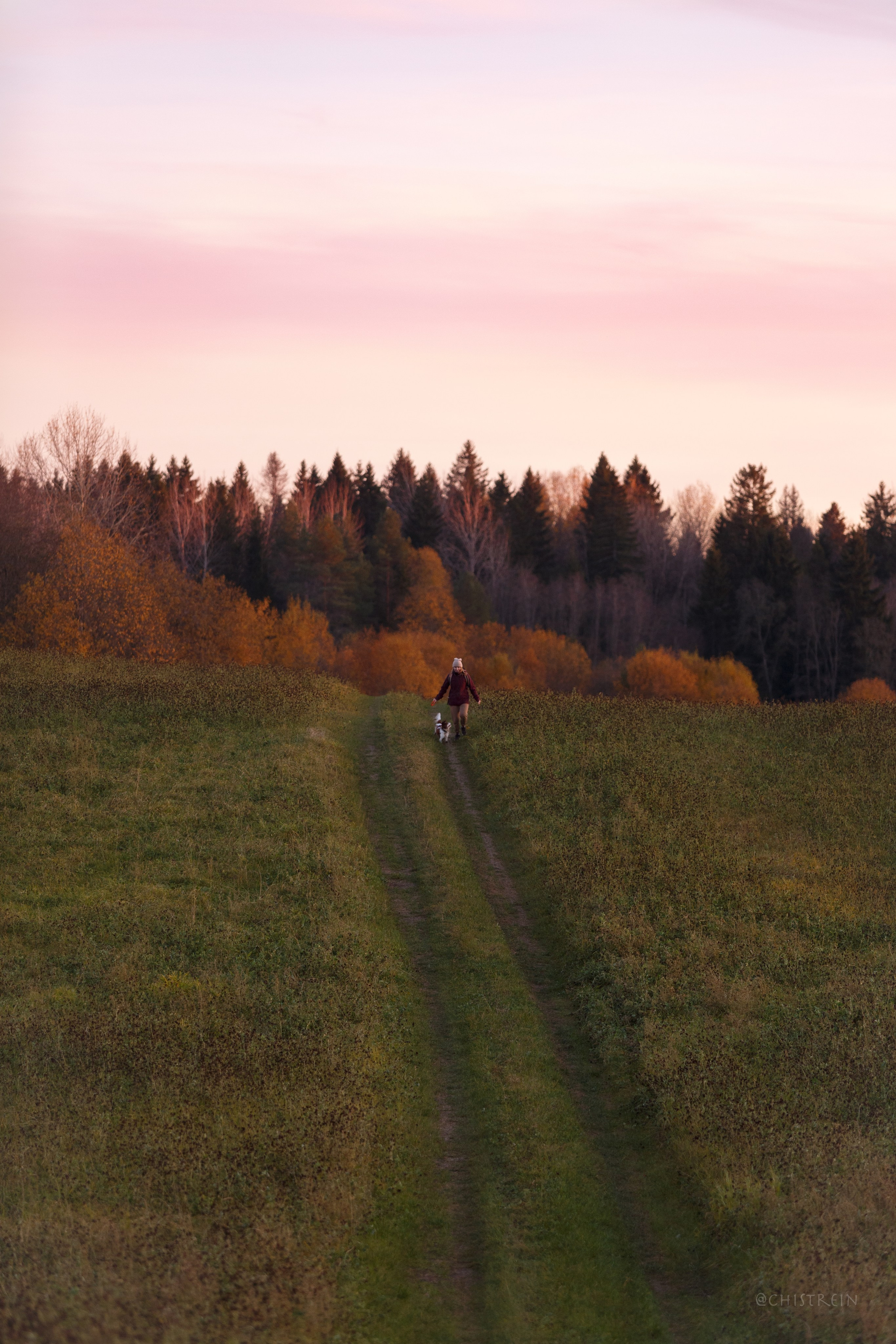 Октябрьский закат в полях. Алина и Лео. Фотограф-анималист Наталия Чистюхина в г. Сосновый Бор и ЛО