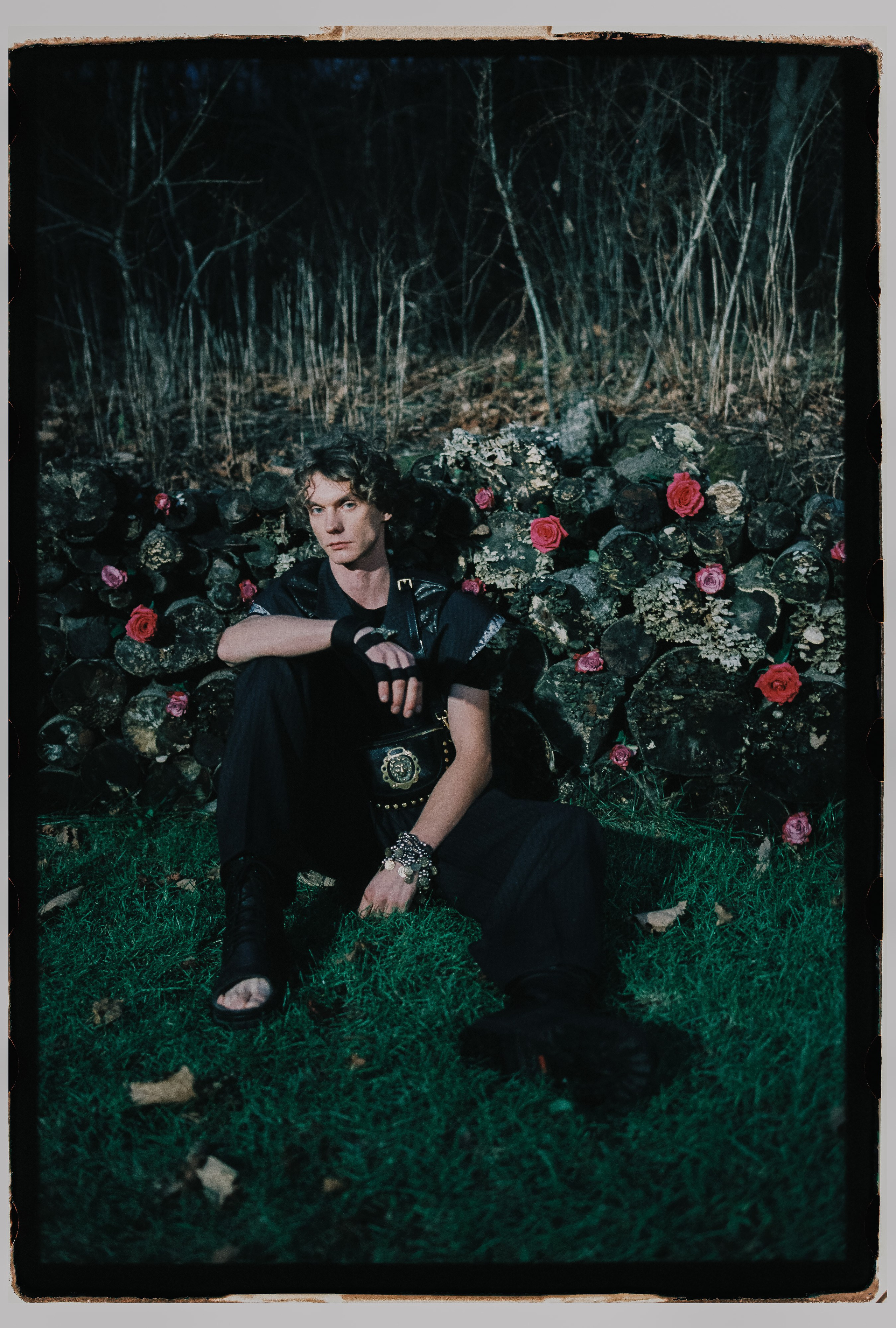 Лесной променад