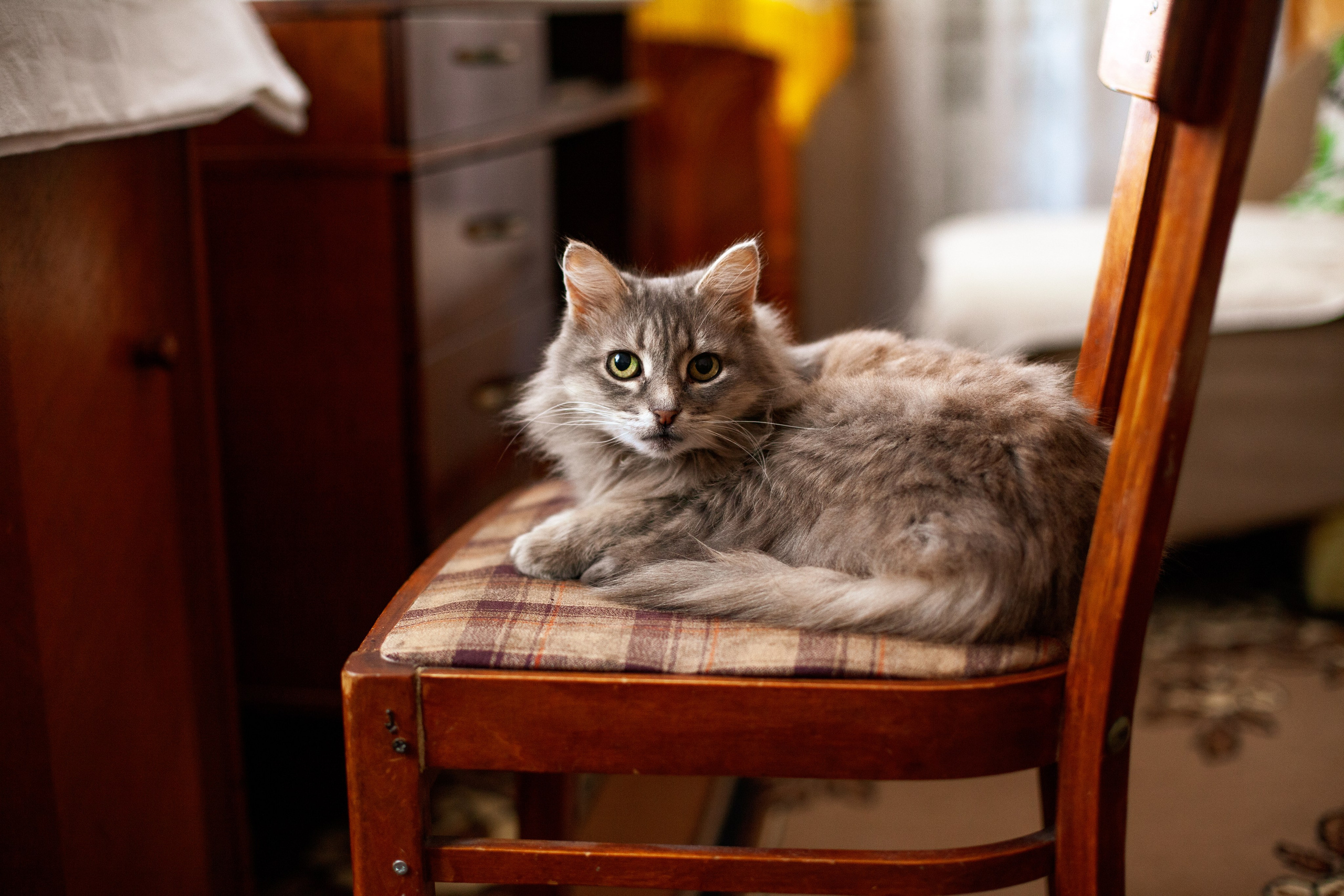 Чувства. Контент-фотограф Рязань/Москва/Санкт-Петербург/Сочи Елена Сазонтова