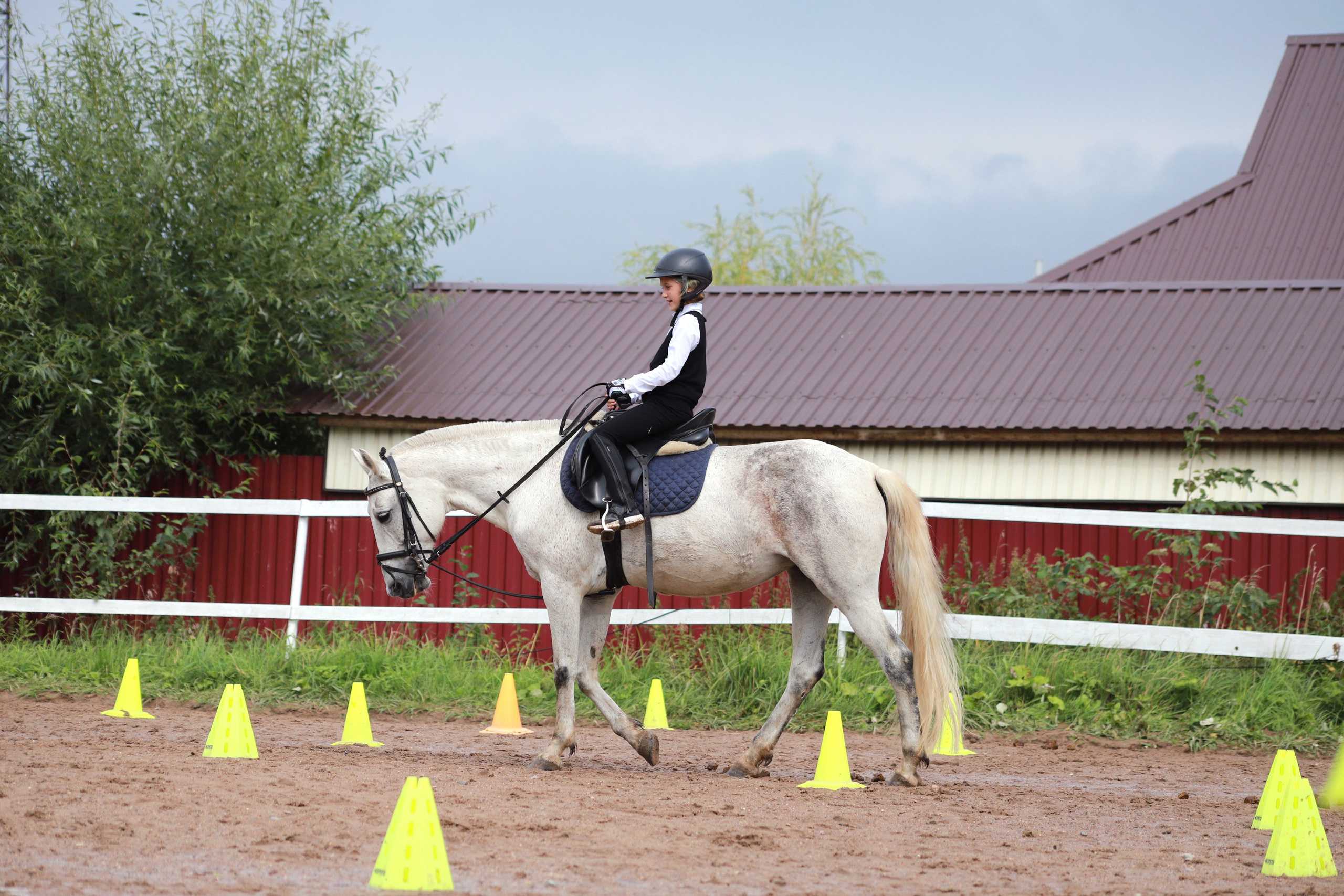 Наша жизнь. КСК Тагир