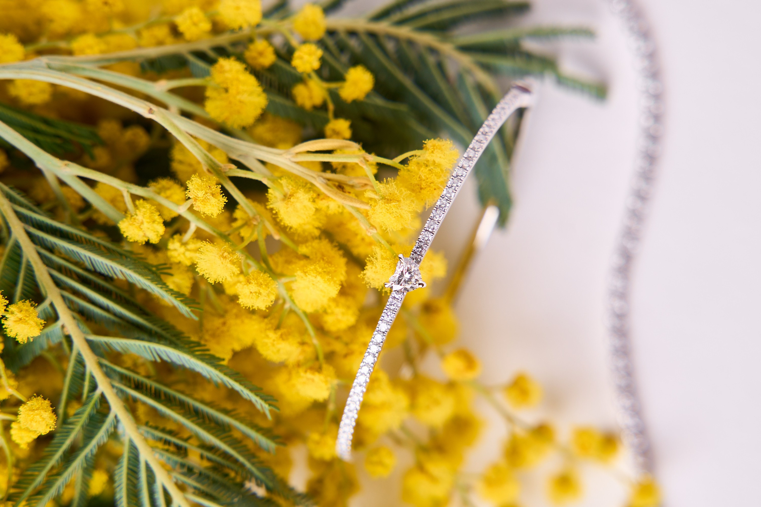 Бренды. Антон Чигляков -   профессиональный фотограф