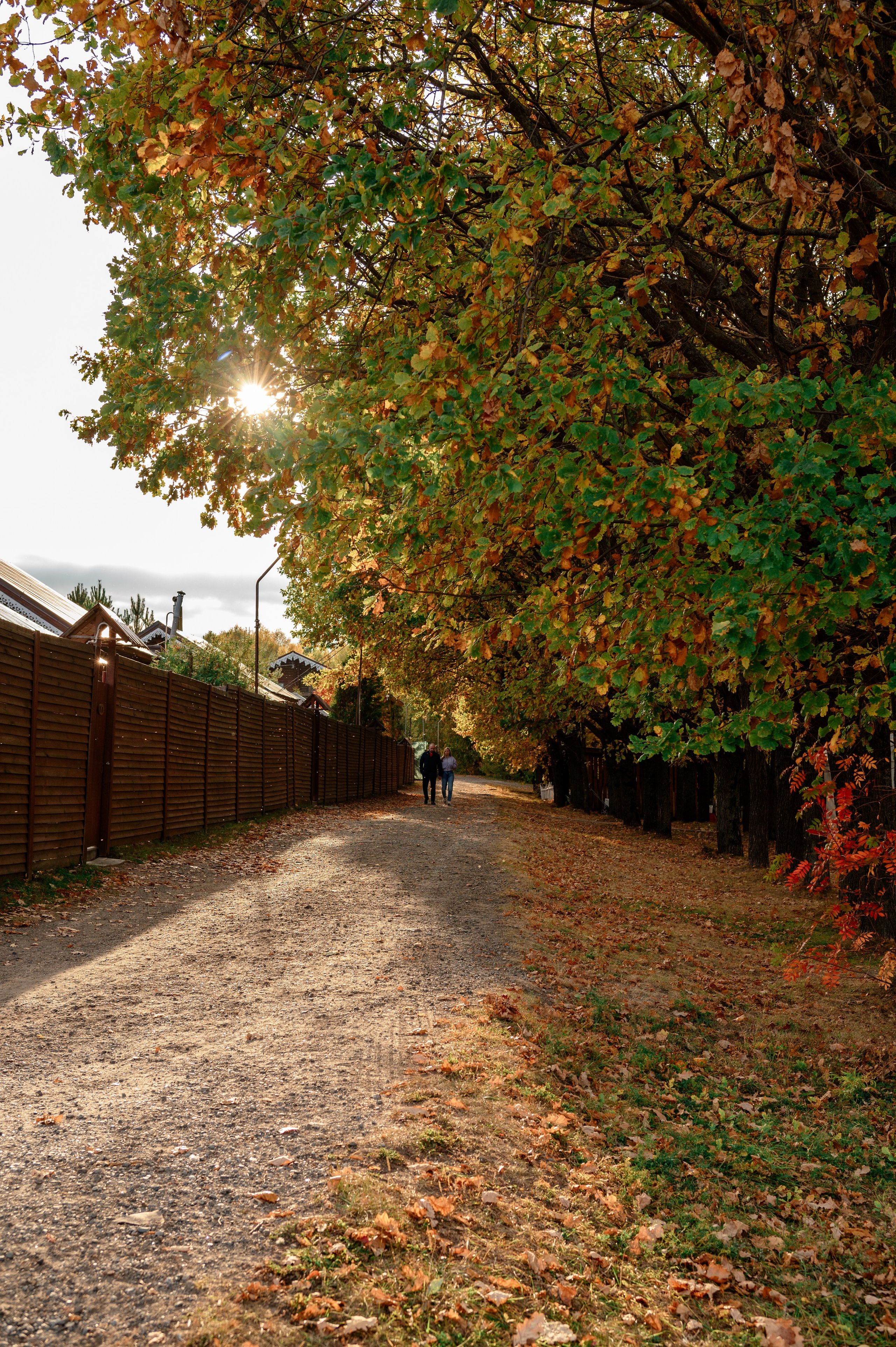База отдыха «Заимка», Чувашия, сентябрь 2023. Фотограф Александр Золотых