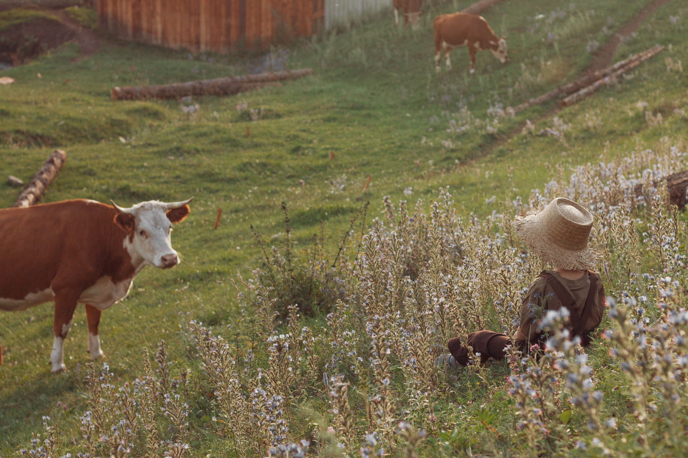 Пастушок. Детский и семейный фотограф в Бердске и Новосибирске Дарья Гребнева
