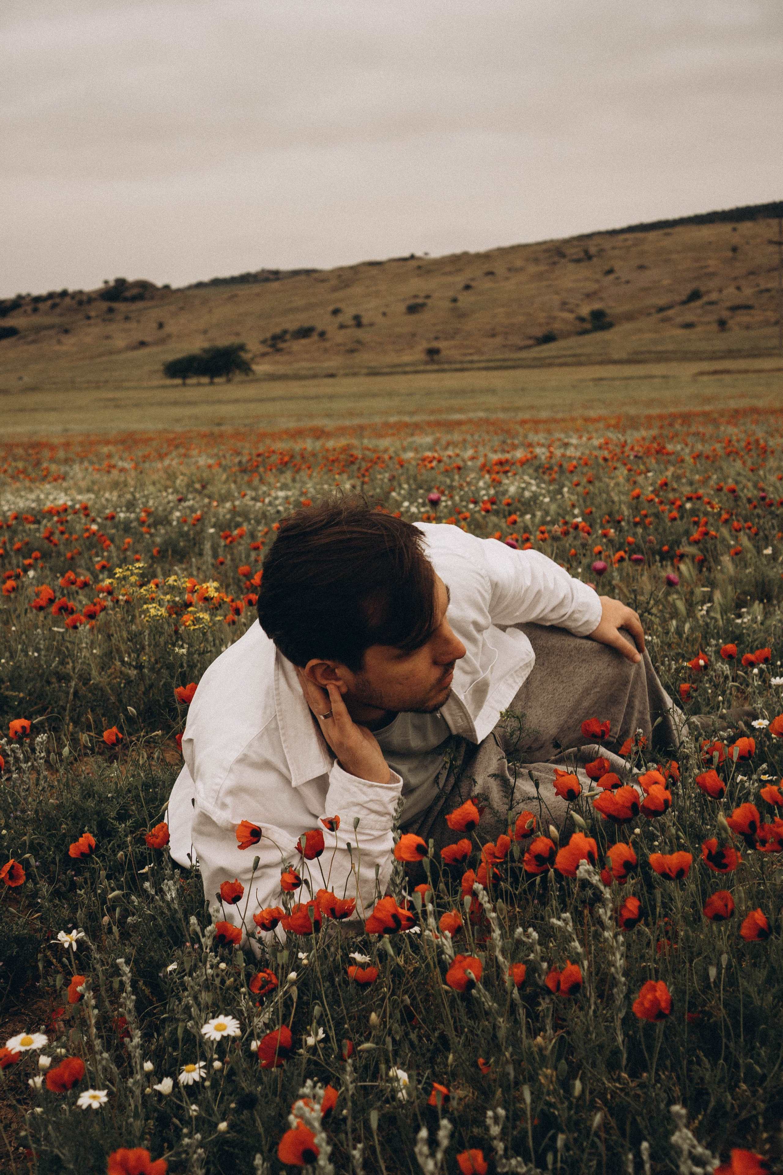 Маки. Профессиональный фотограф, Санкт-Петербург — Виктория Богомолова