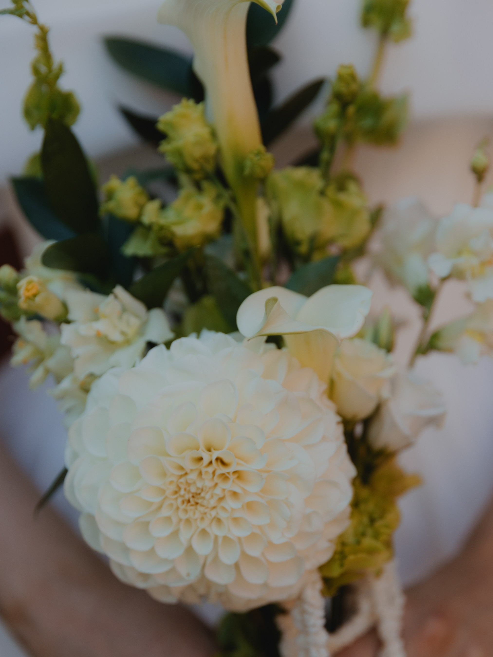 Макс и Катя (загс + прогулка). Свадебные фотографы в Гомеле и Минске Сергей и Анастасия Фещенок