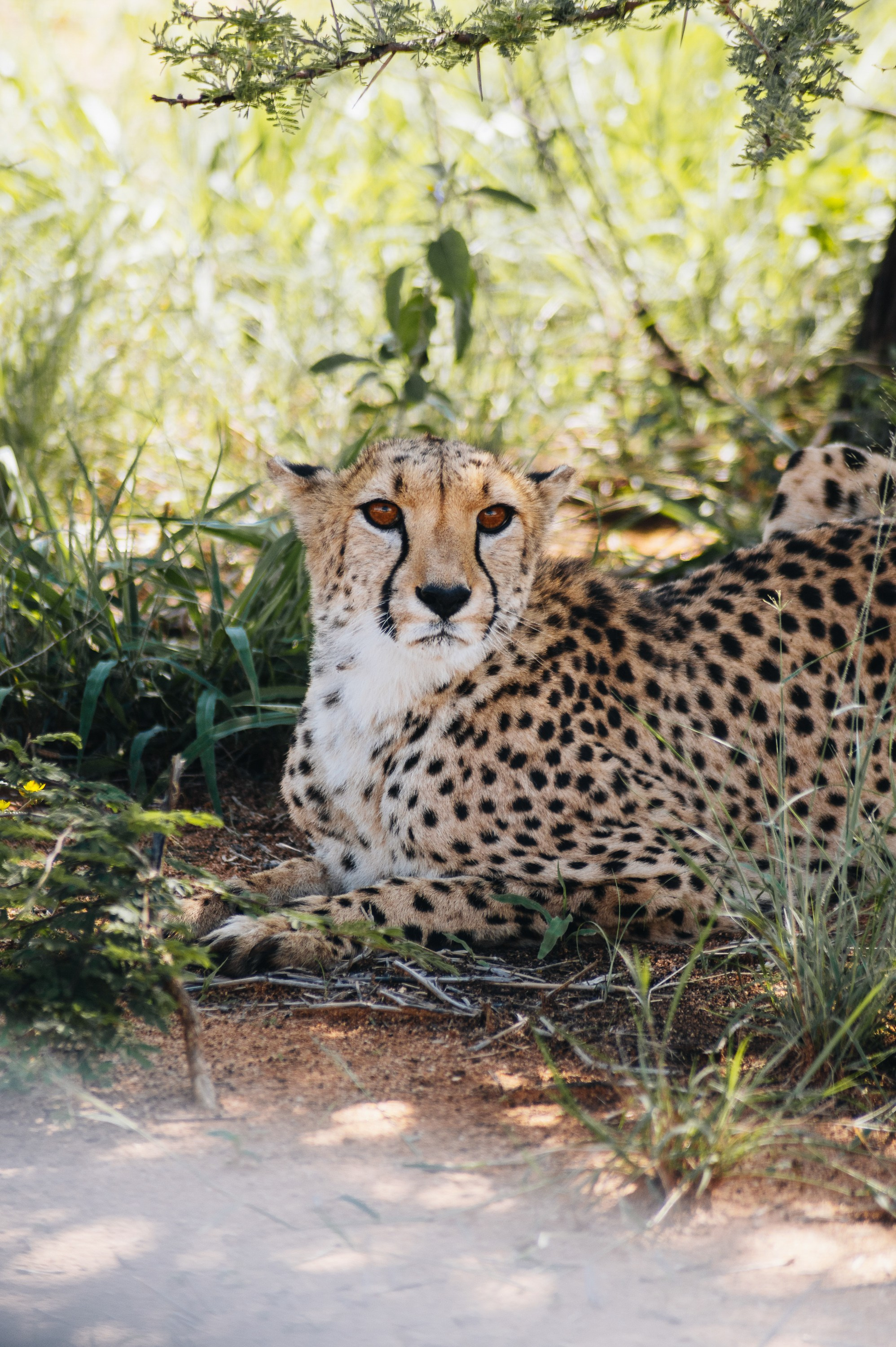 НАМИБИЯ. Роадтрип