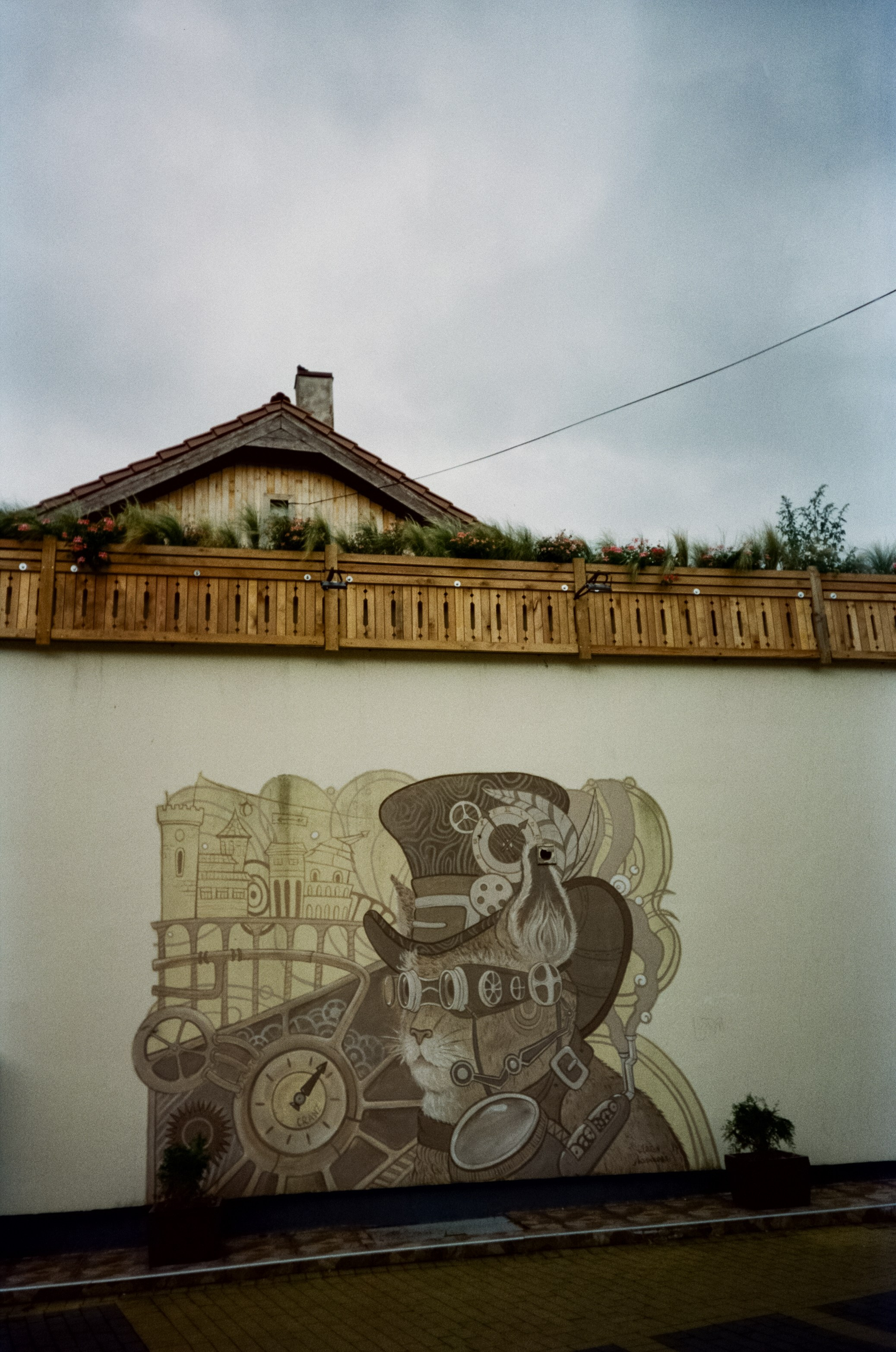 Курортный проспект и коты Зеленоградска, маяк и Safe Coffee. Фотограф-документалист Мария Осокина