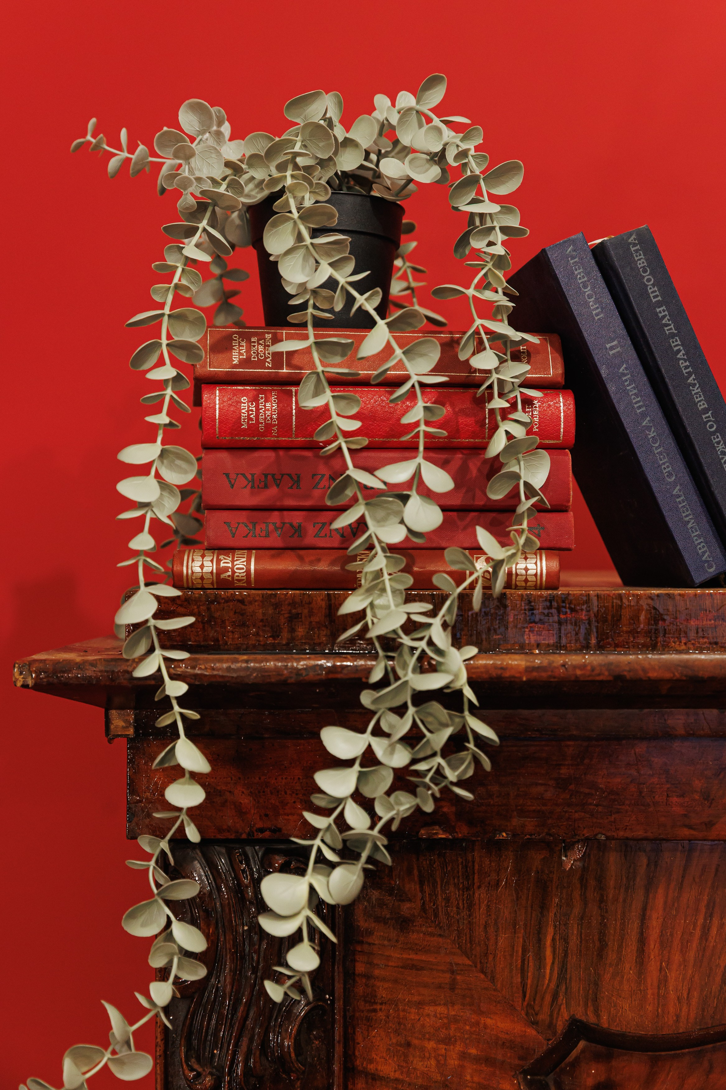 Airbnb Белград. Дизайн интерьеров по всему миру