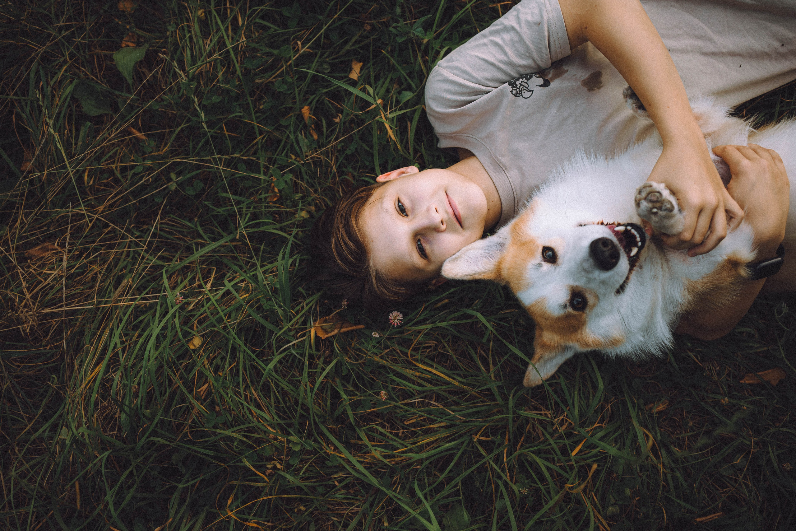 Арчи и его семья