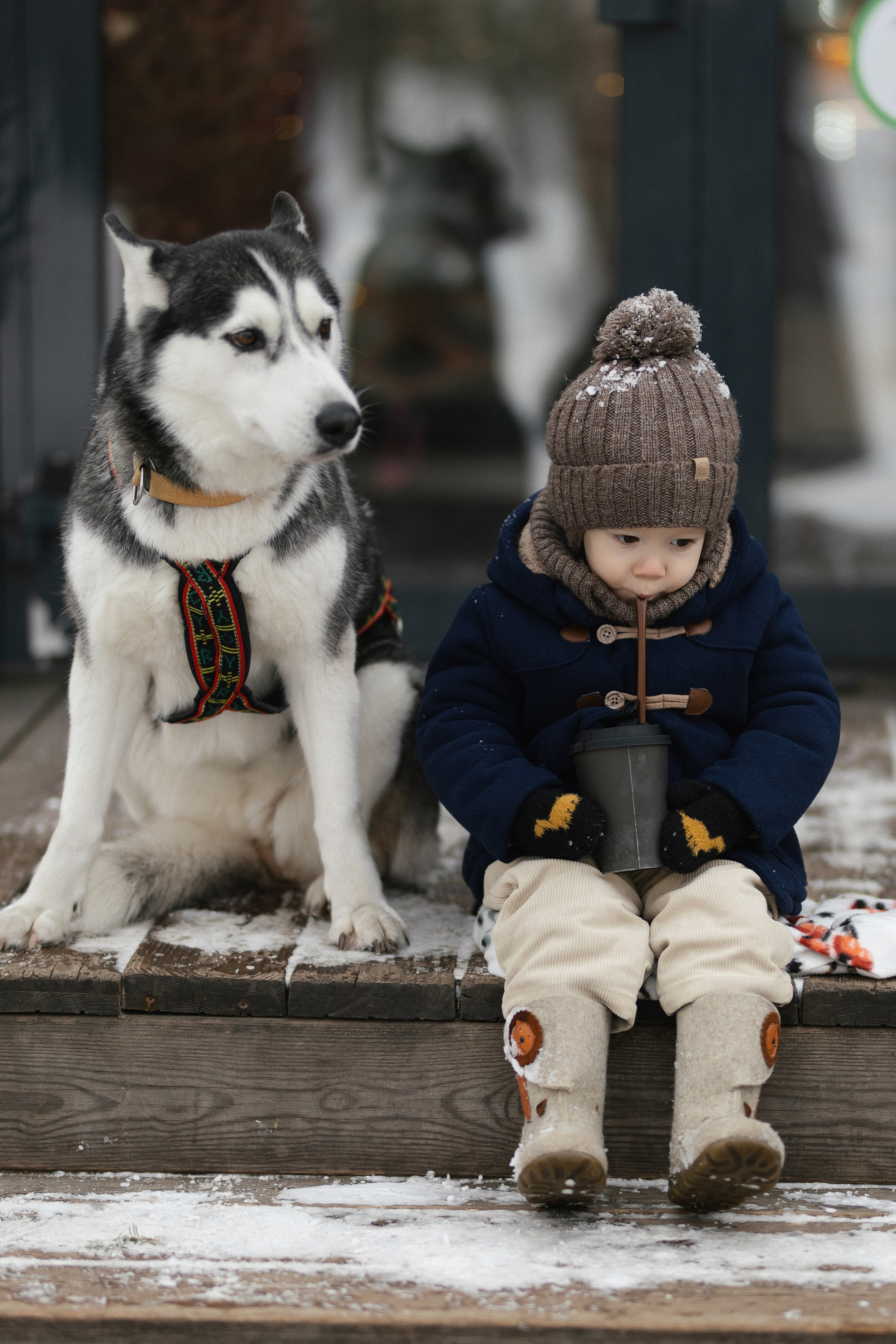 «ПО СУГРОБАМ». Maria Startseva Photo