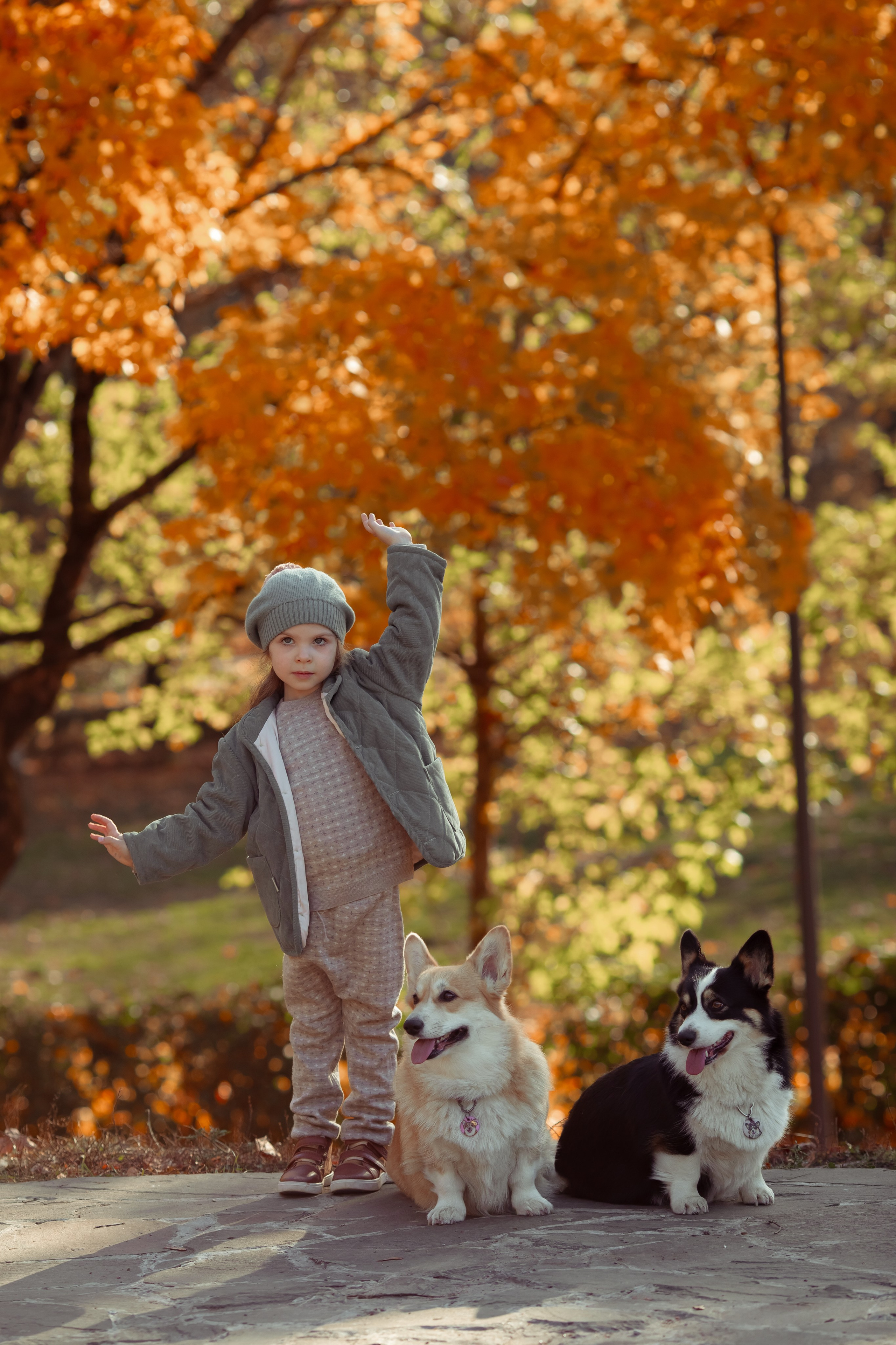 Эва с корги. Семейный и детский фотограф в Москве Дорогова Екатерина