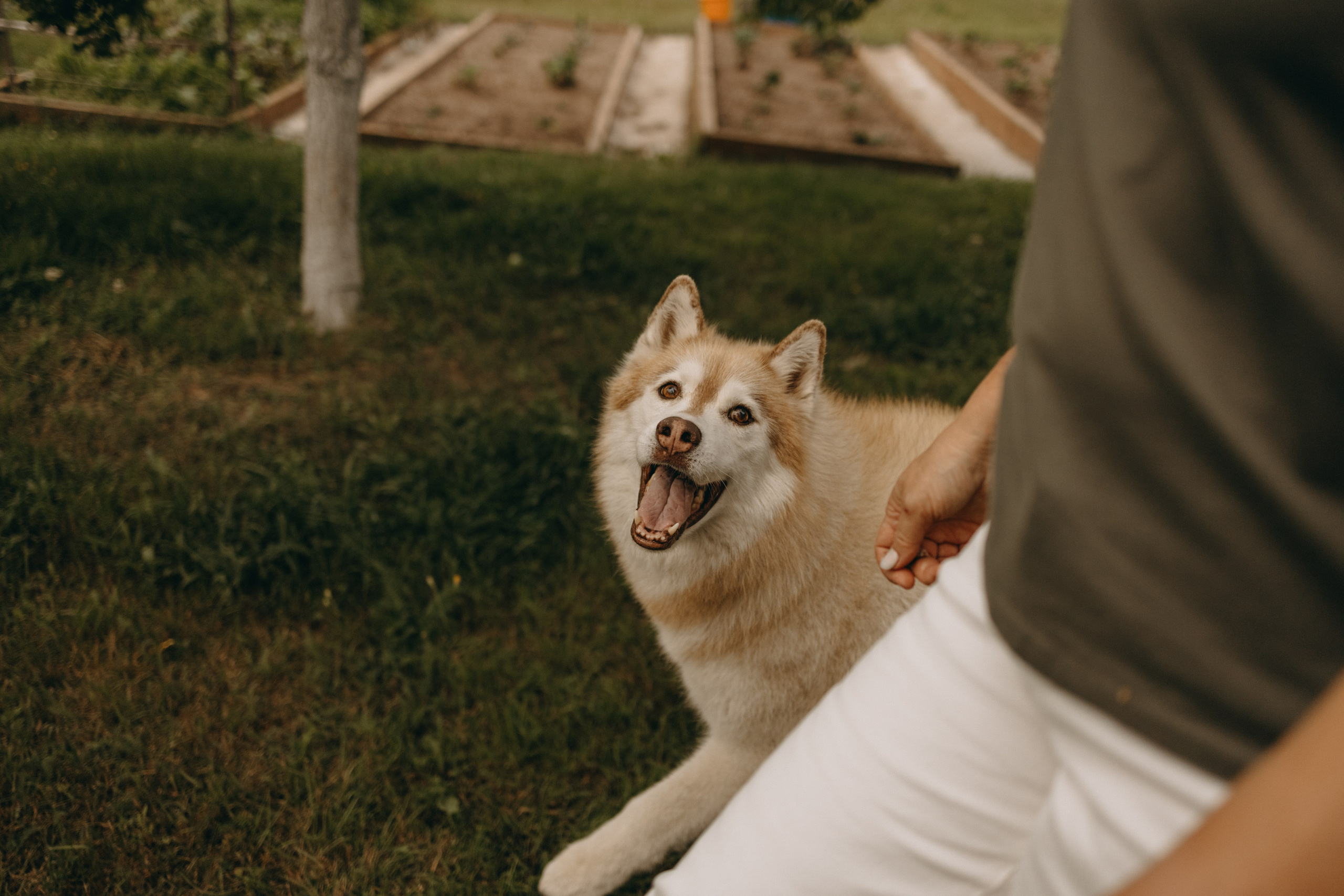 Дом у реки. Фотограф — Анималист | Санкт-Петербург