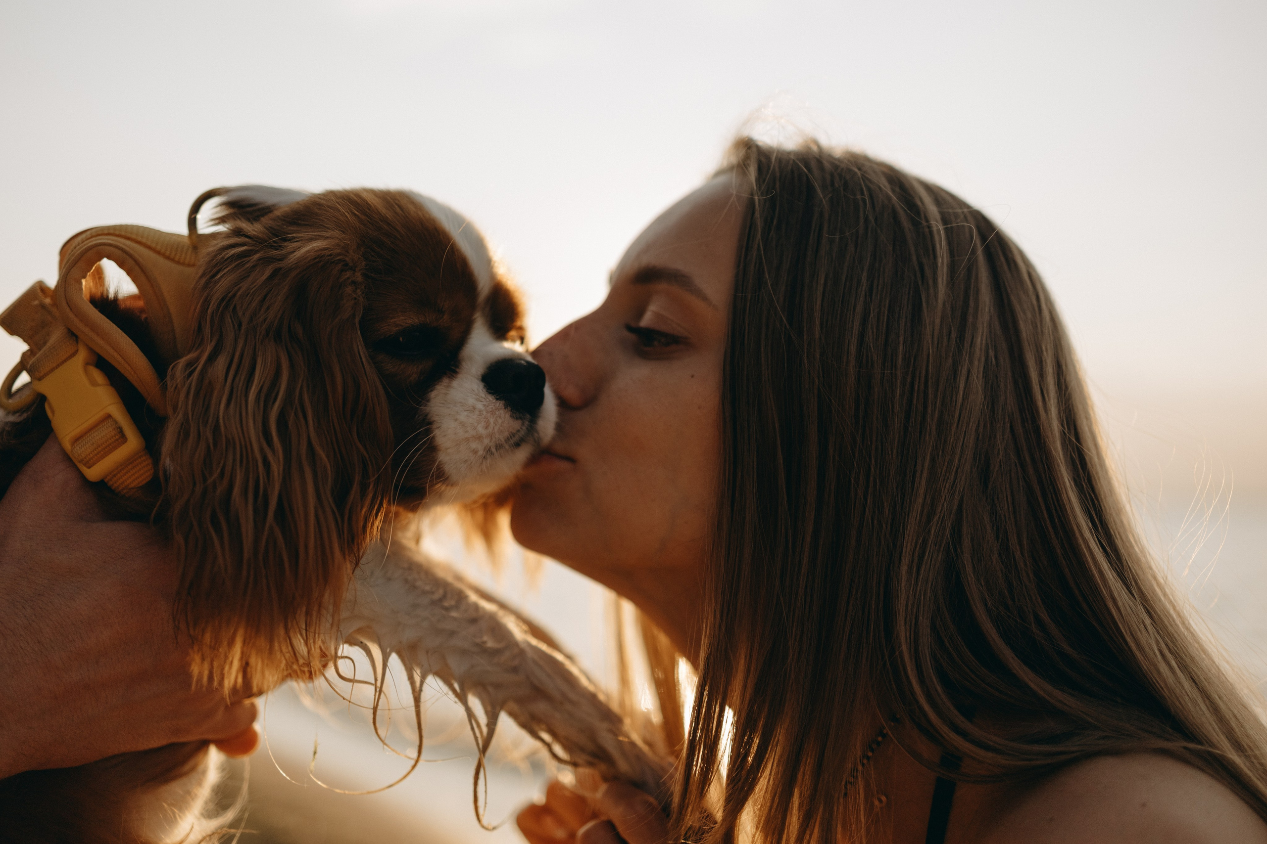 Лу и его семья. Фотограф — Анималист | Санкт-Петербург