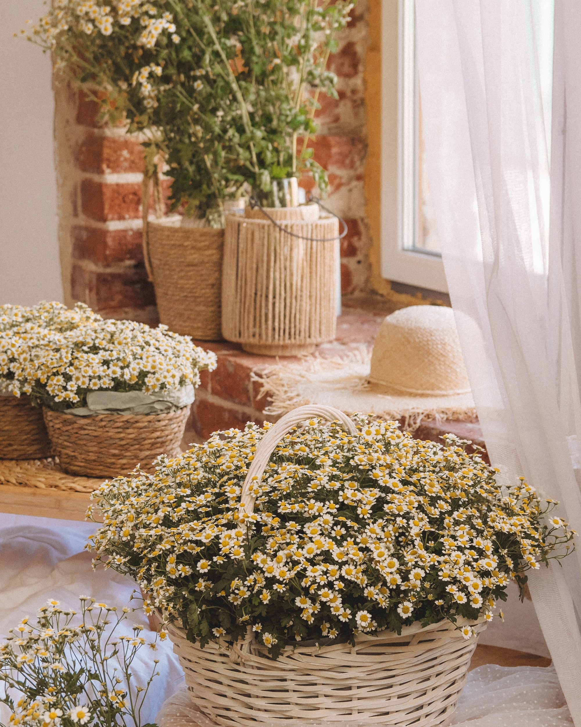 Семья Станислава и Елены. Фотограф Новочеркасск Ольга Мальцева