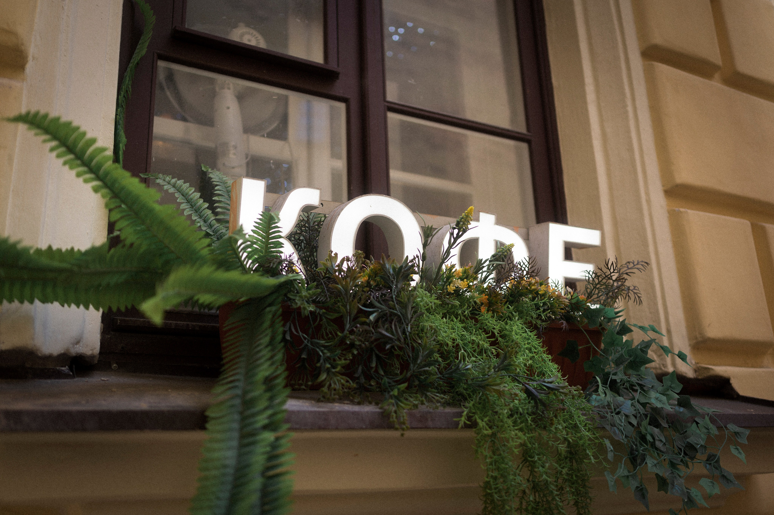 North 2024. Kartascheff