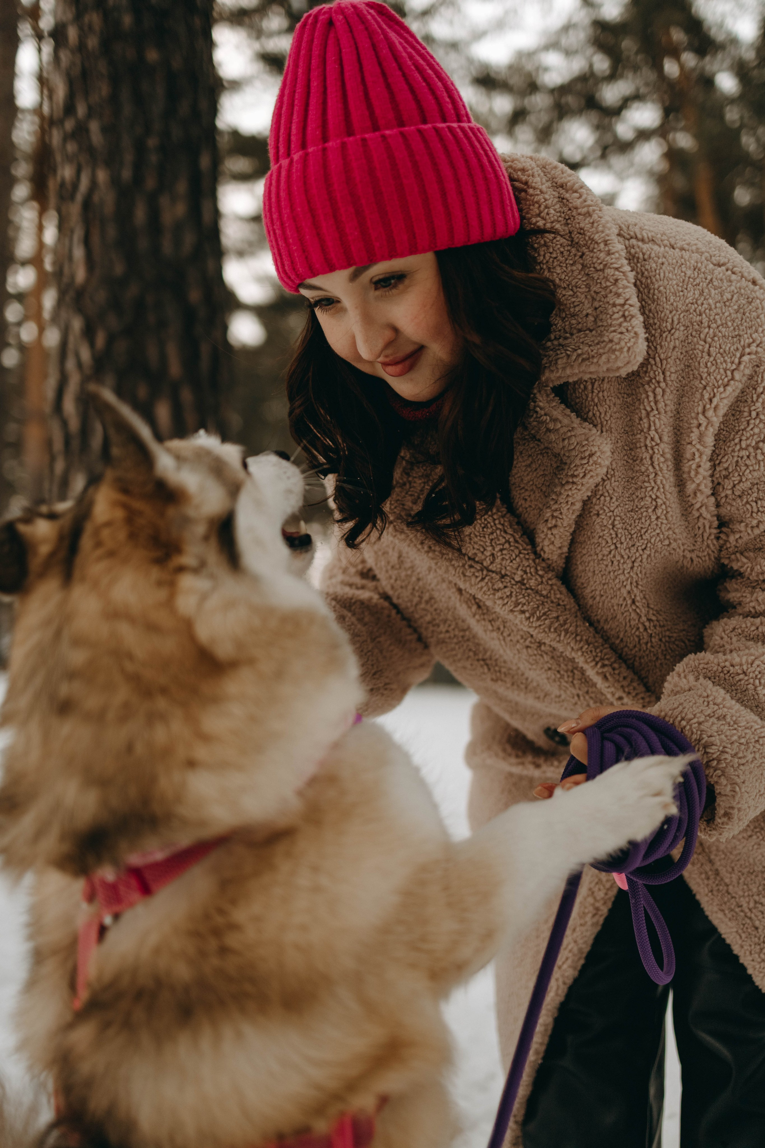 Варвара и Шелби. Фотограф-анималист в Екатеринбурге | Кристина