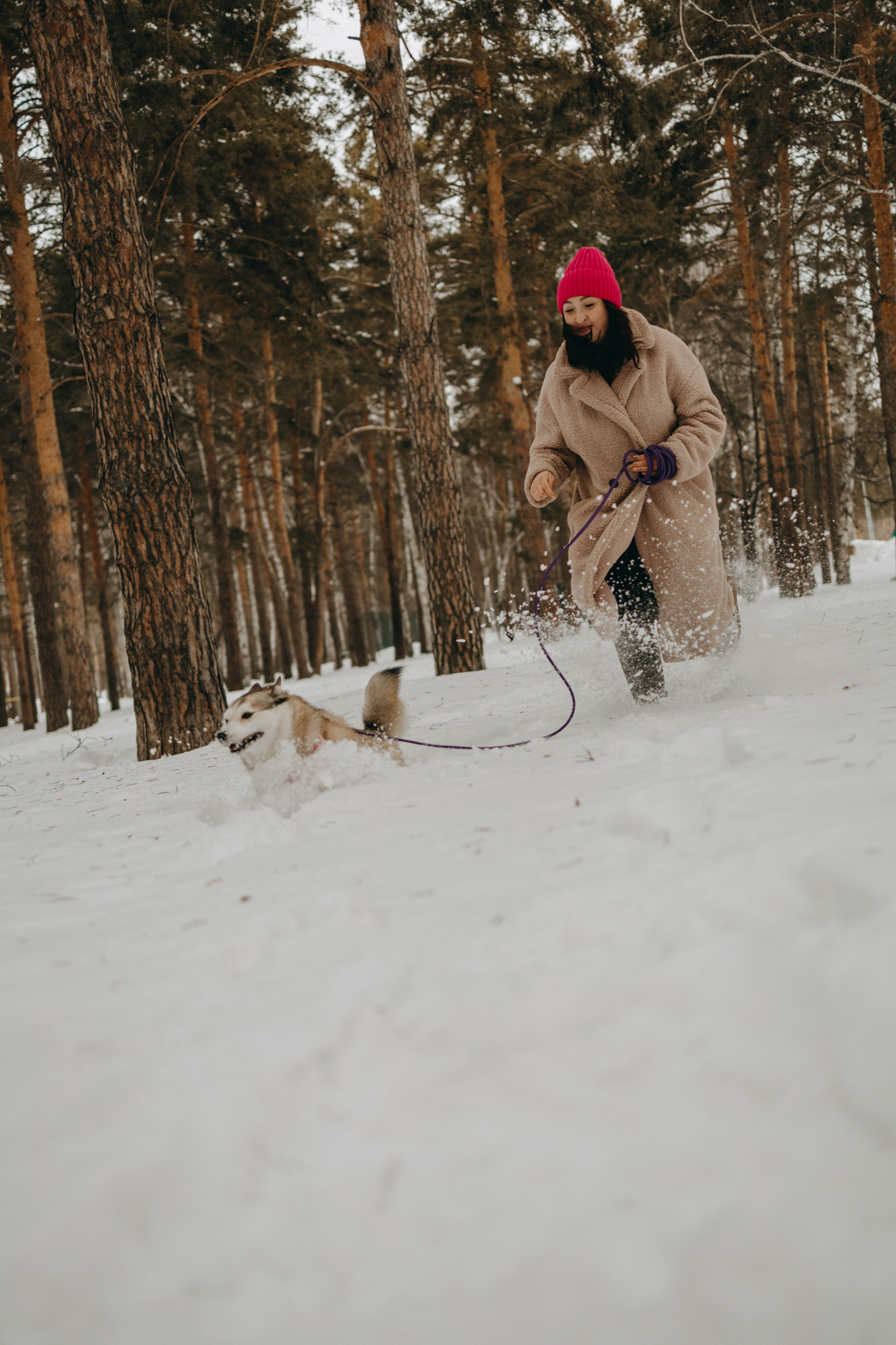 Варвара и Шелби. Фотограф-анималист в Екатеринбурге | Кристина