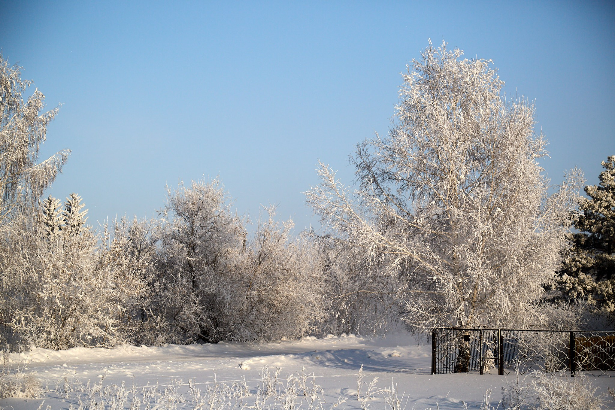 Предновогодняя сказка. Фотограф Омск | Александр Вандеров